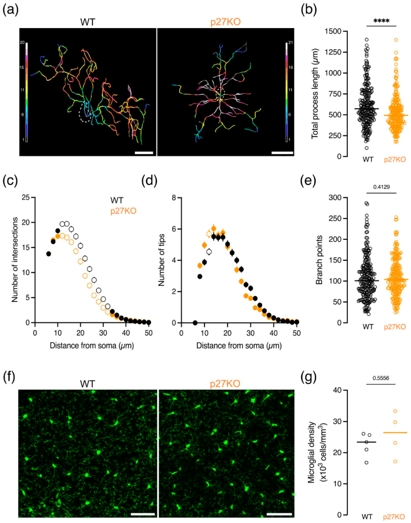 Ijms 23 10432 g002 Ijms 23 10432 g002