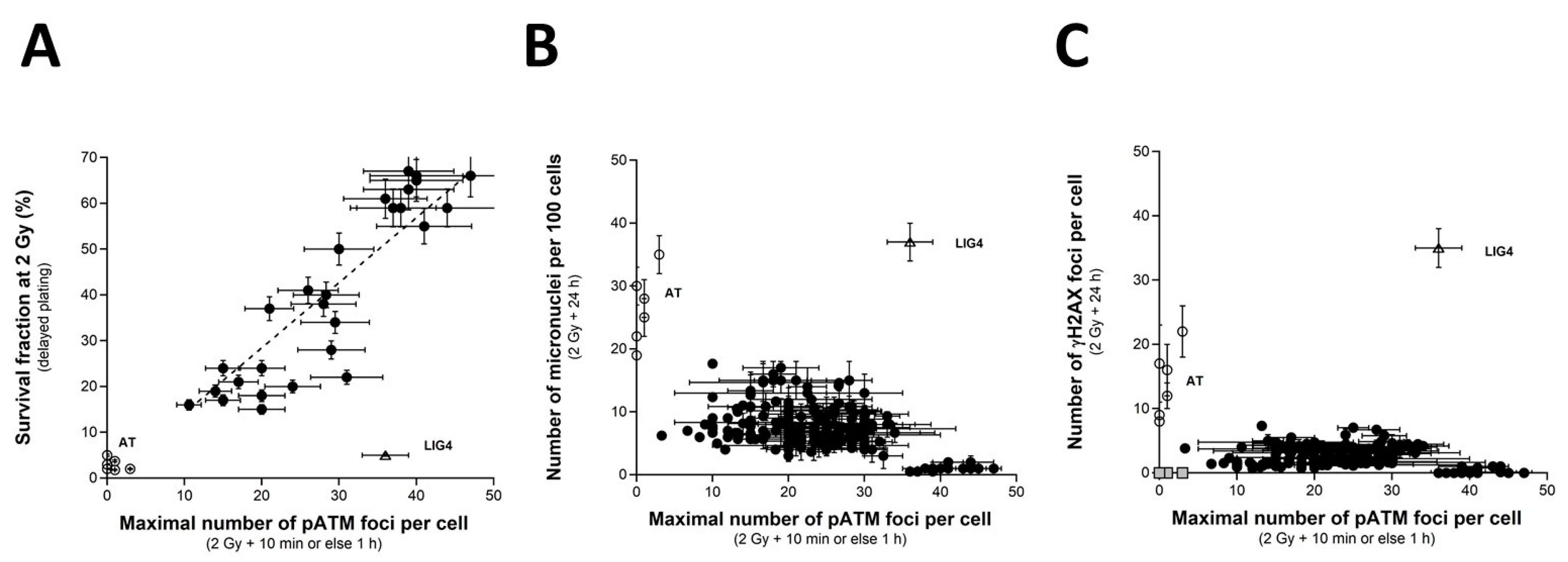 Ijms 23 10434 g007 Ijms 23 10434 g007