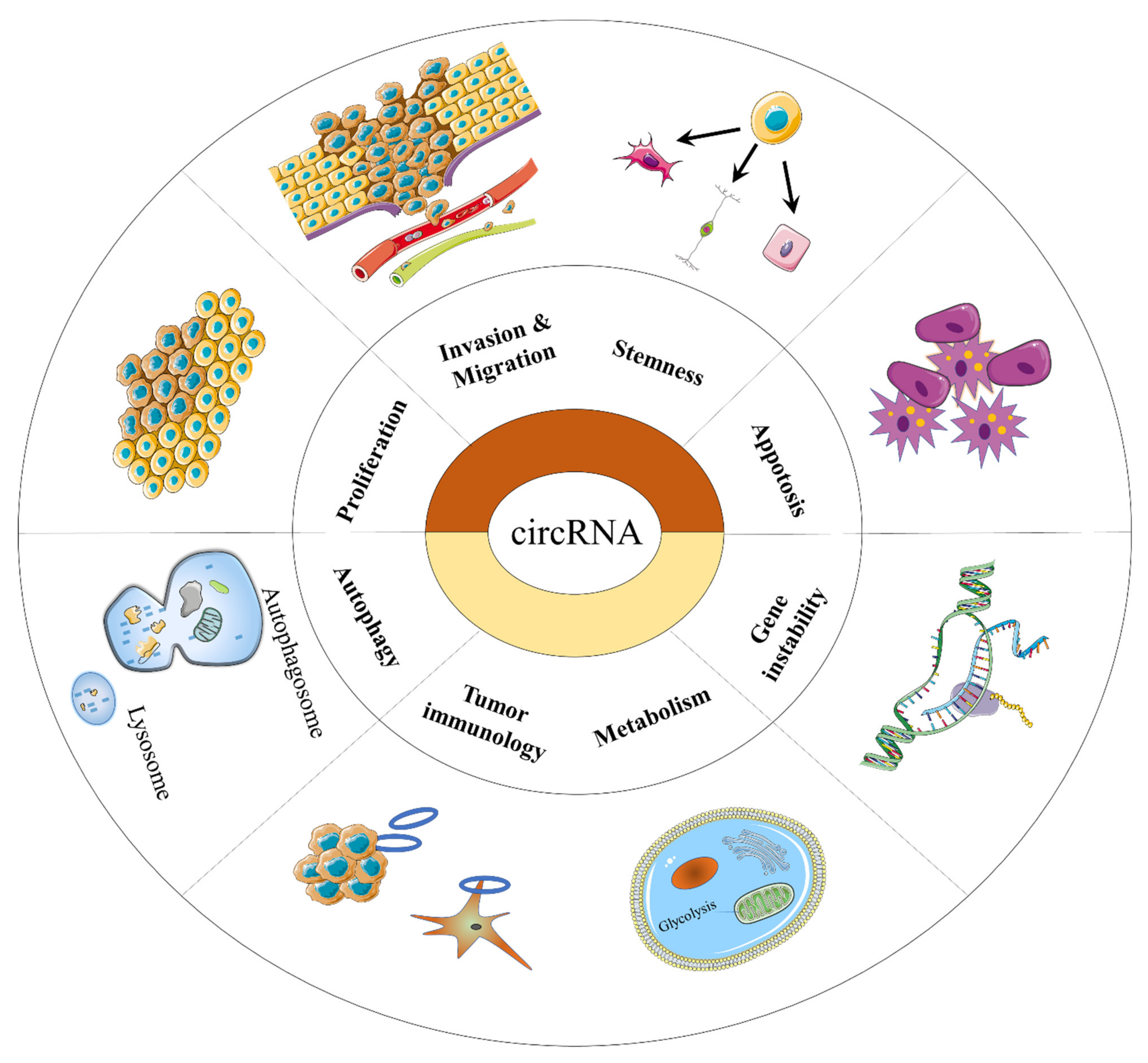 Ijms 23 10444 g003 550