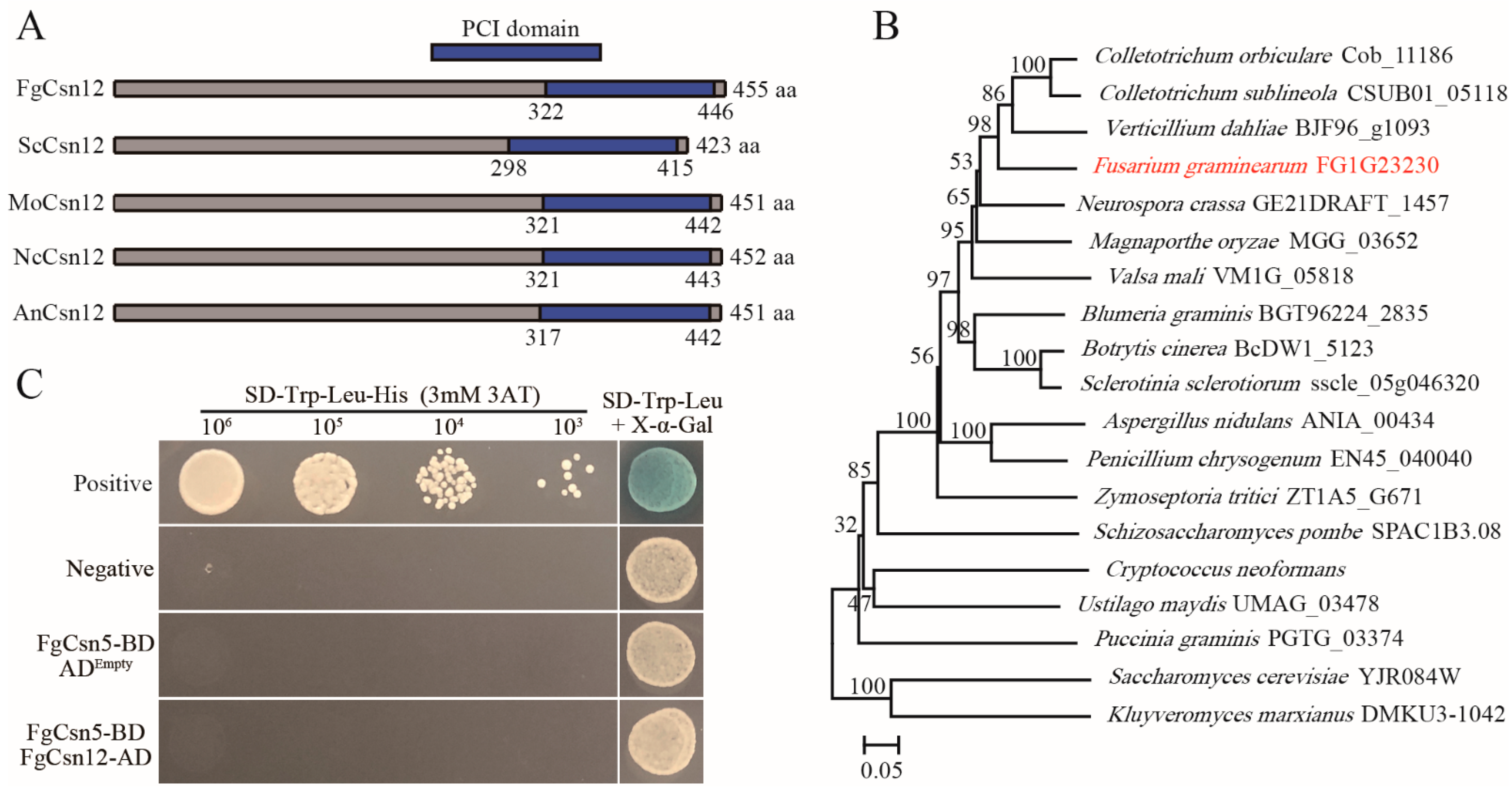 Ijms 23 10445 g001 Ijms 23 10445 g001