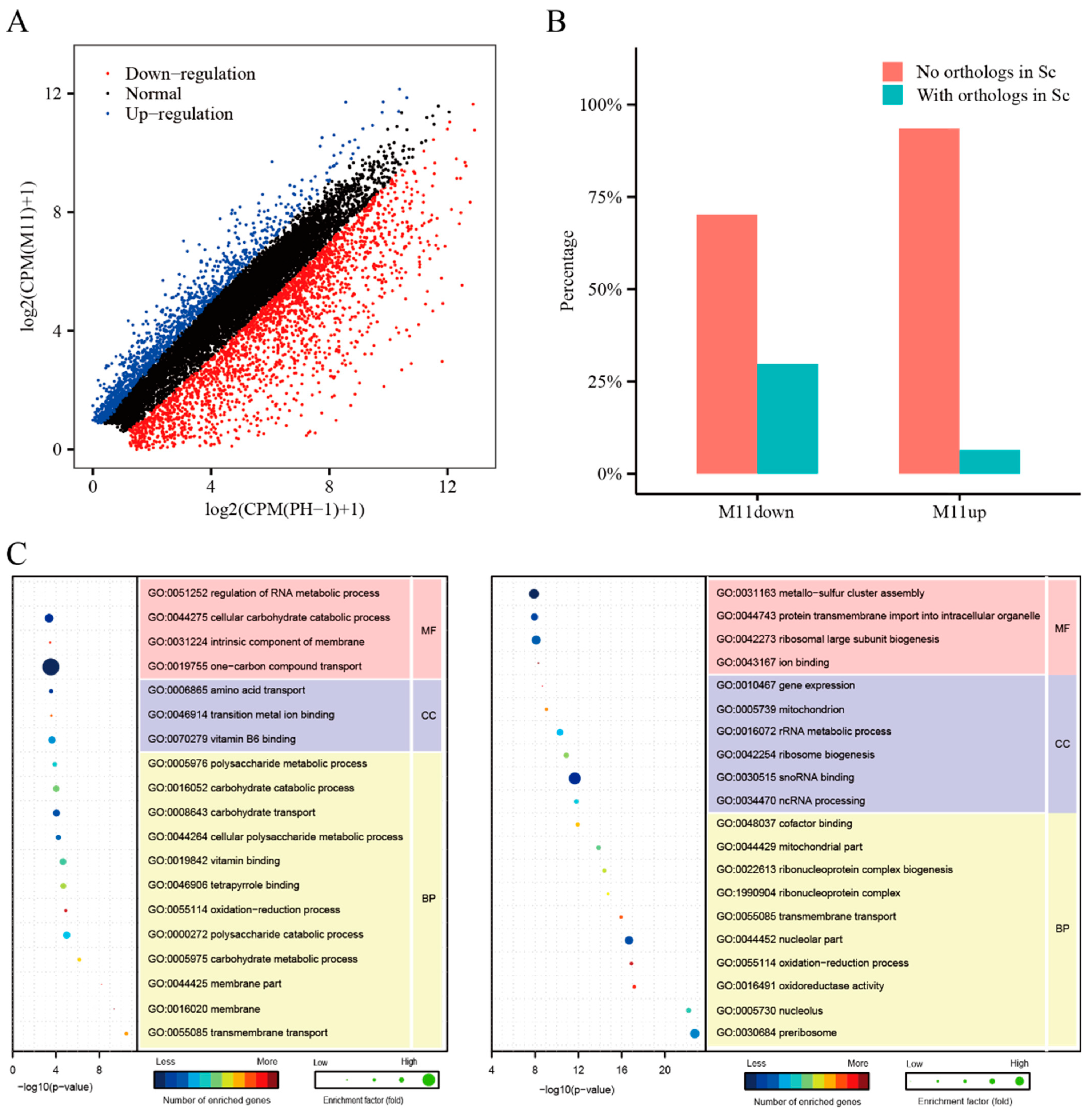 Ijms 23 10445 g006 Ijms 23 10445 g006