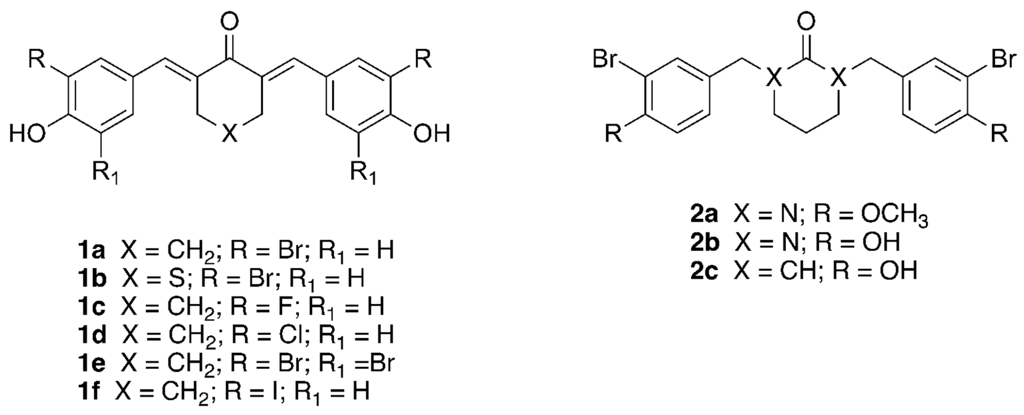 Ijms 23 10446 g001 Ijms 23 10446 g001