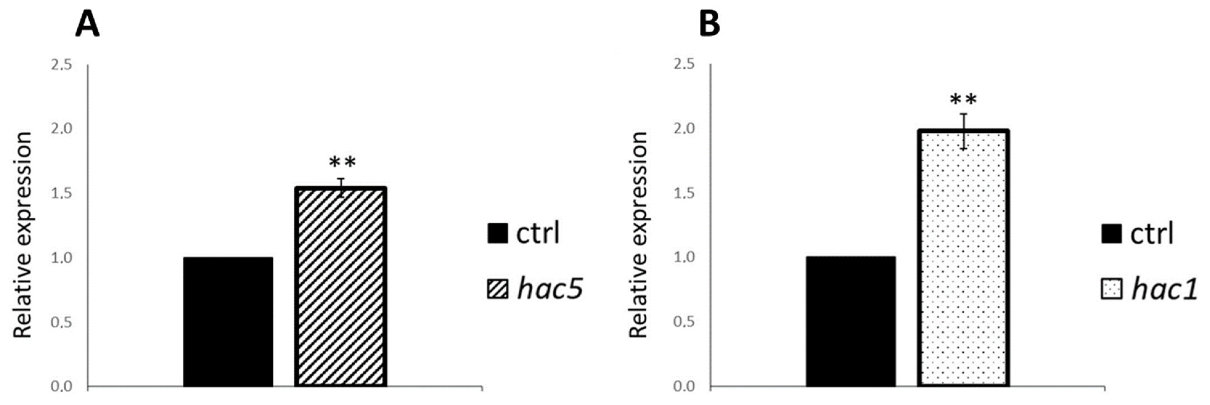 Ijms 23 10446 g007 Ijms 23 10446 g007