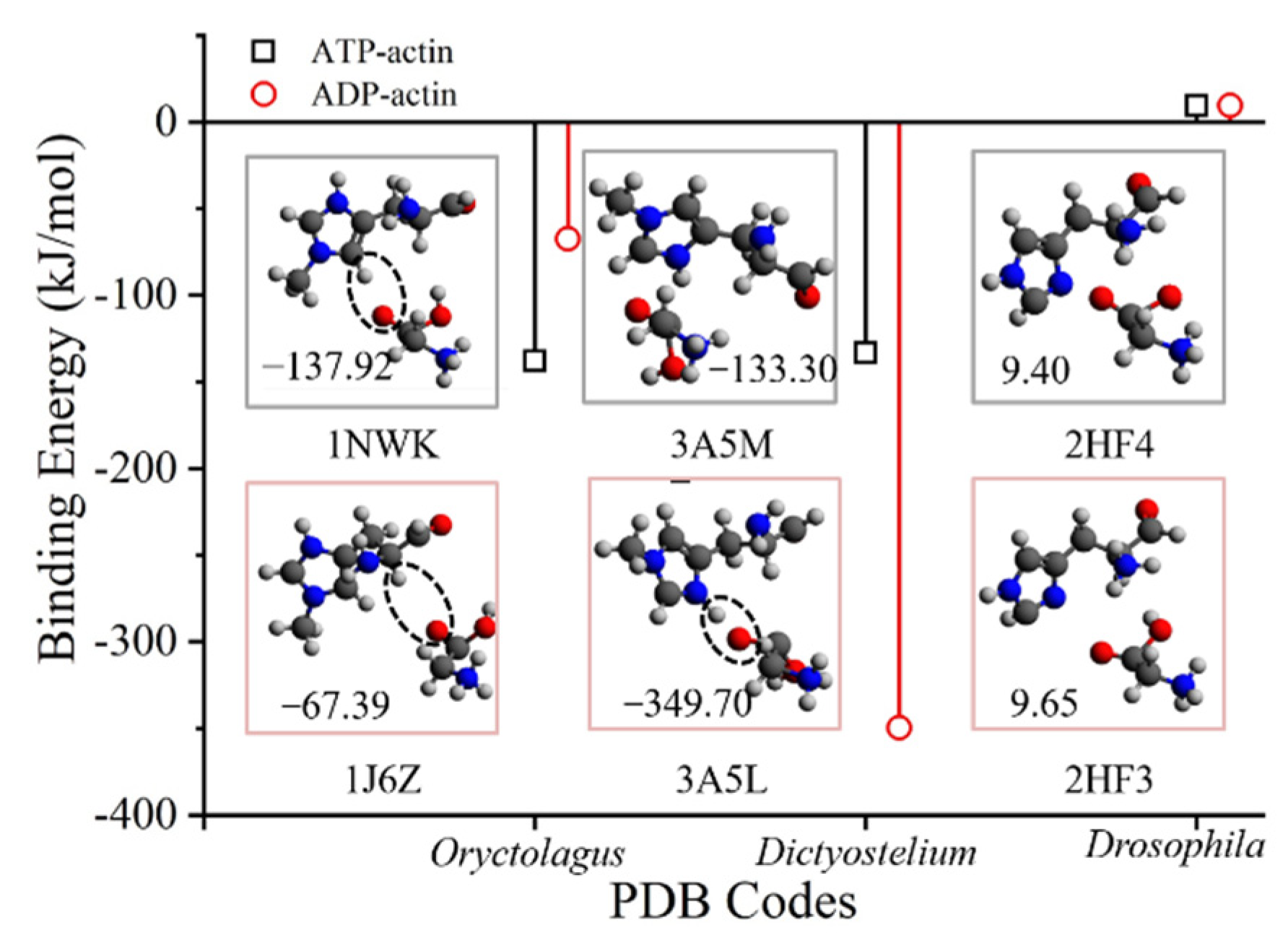 Ijms 23 10447 g005 Ijms 23 10447 g005