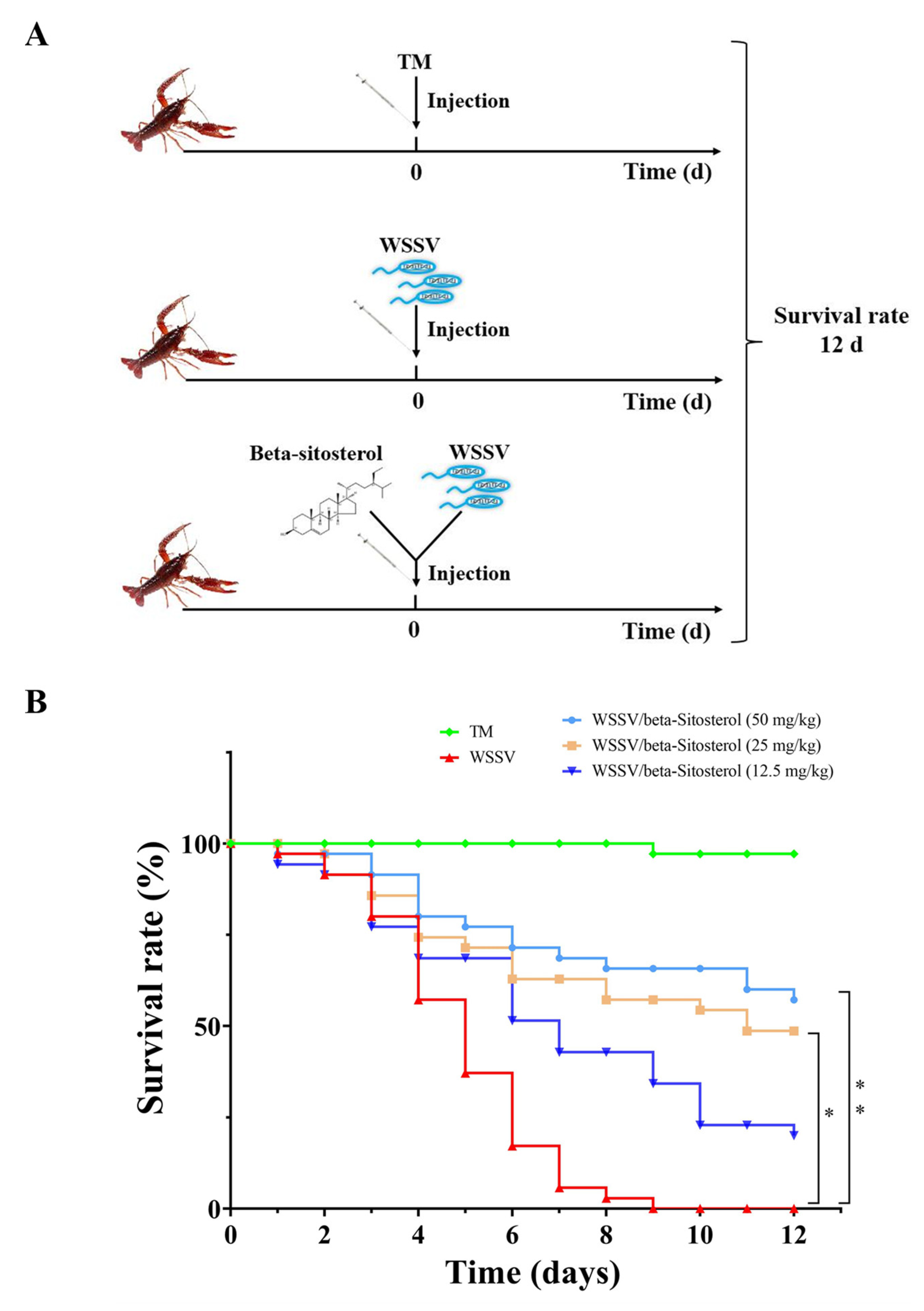 Ijms 23 10448 g003 550