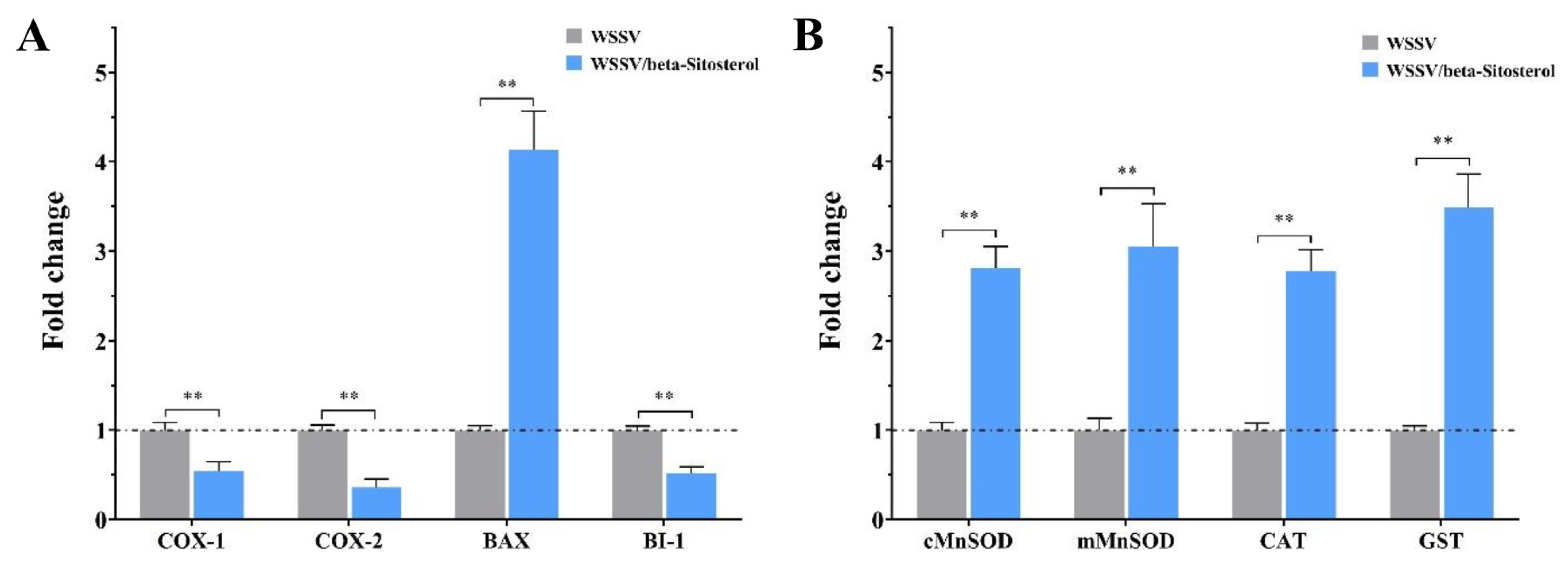 Ijms 23 10448 g008 550
