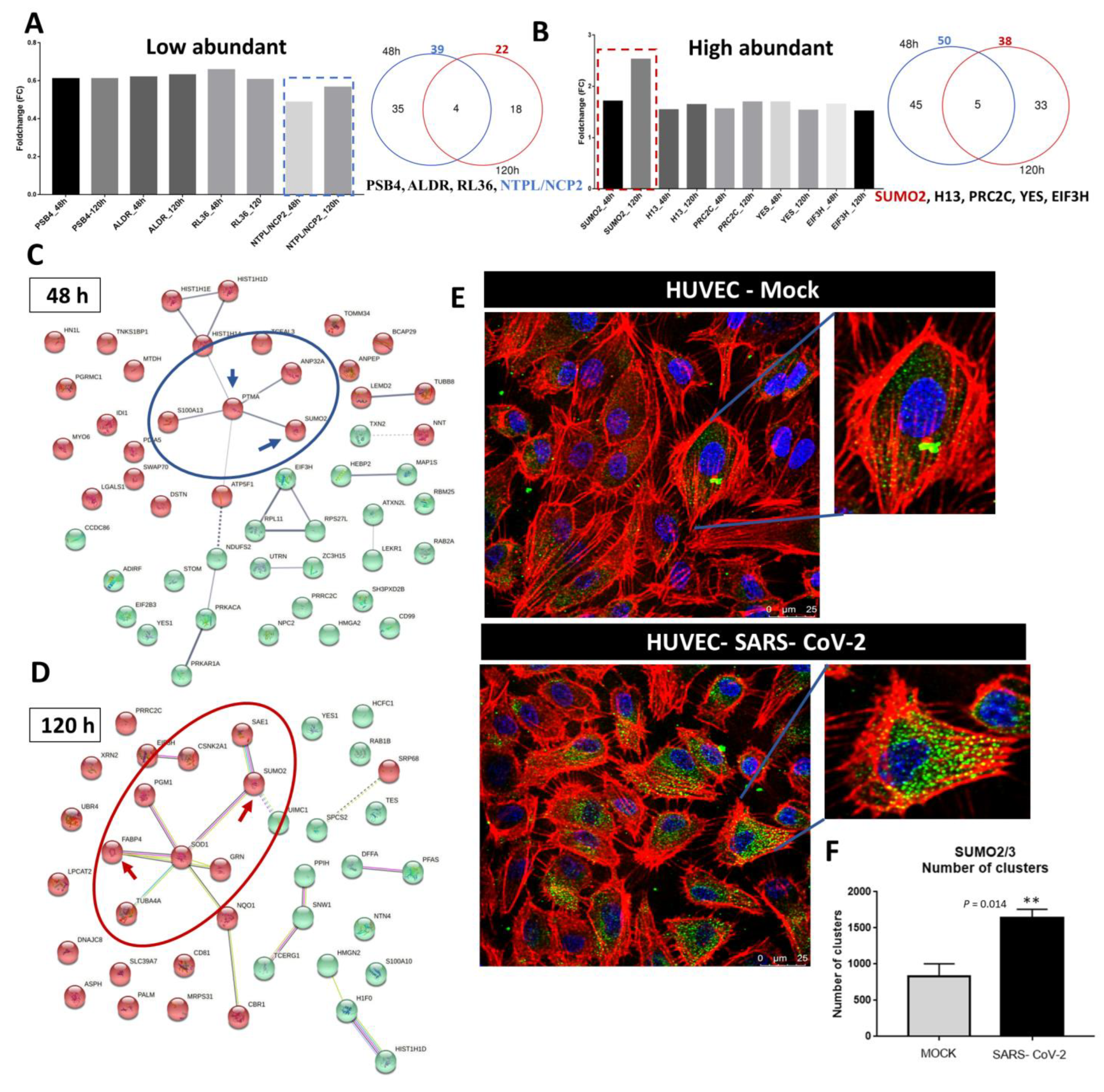 Ijms 23 10452 g004 550