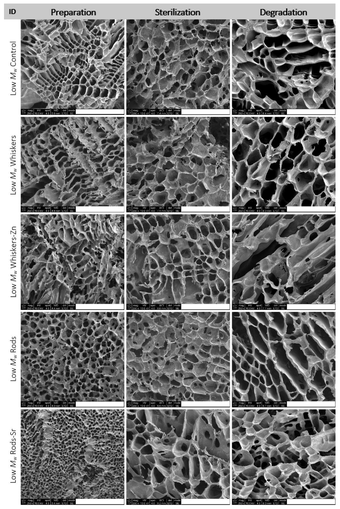 Ijms 23 10454 g002 550