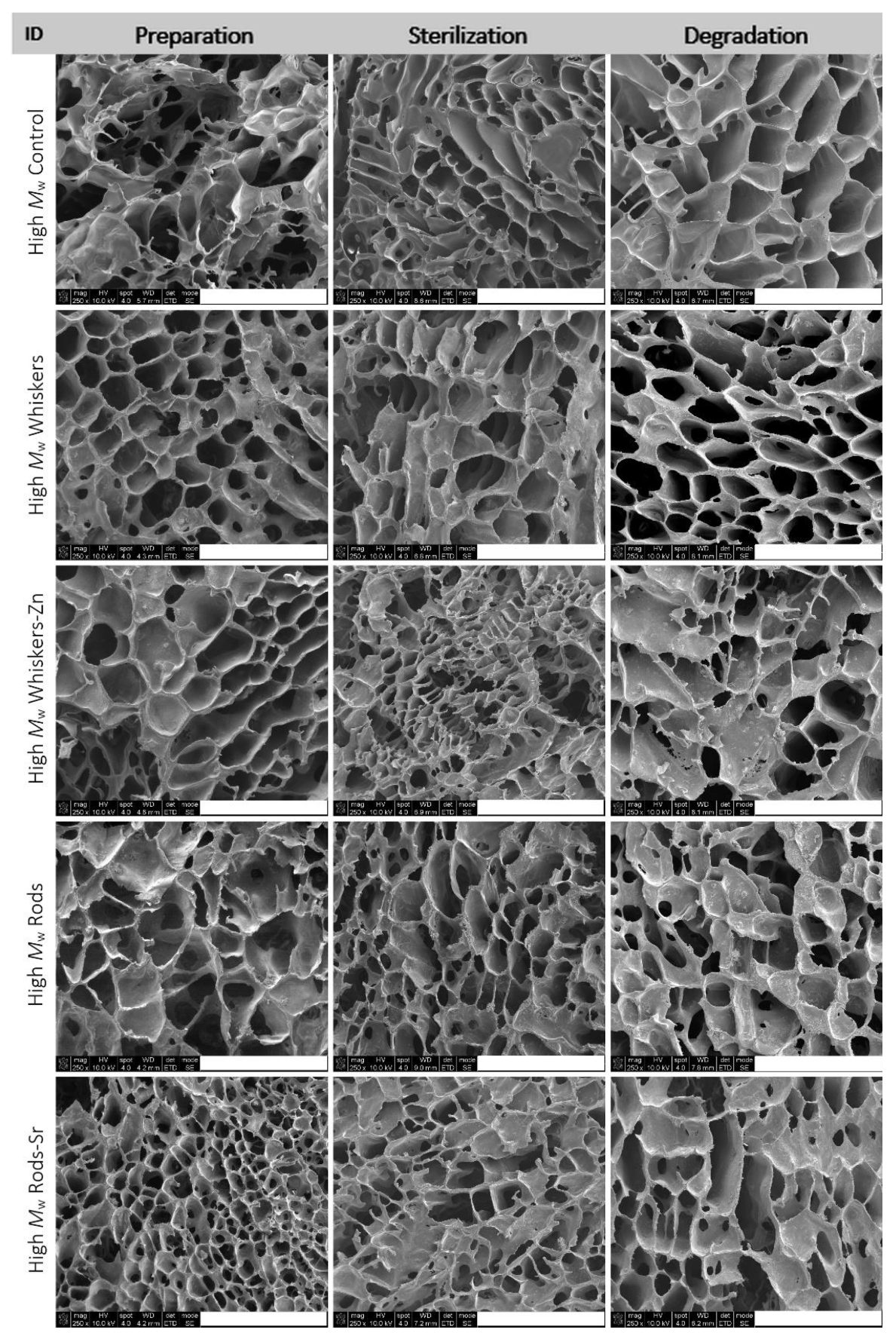 Ijms 23 10454 g003 550