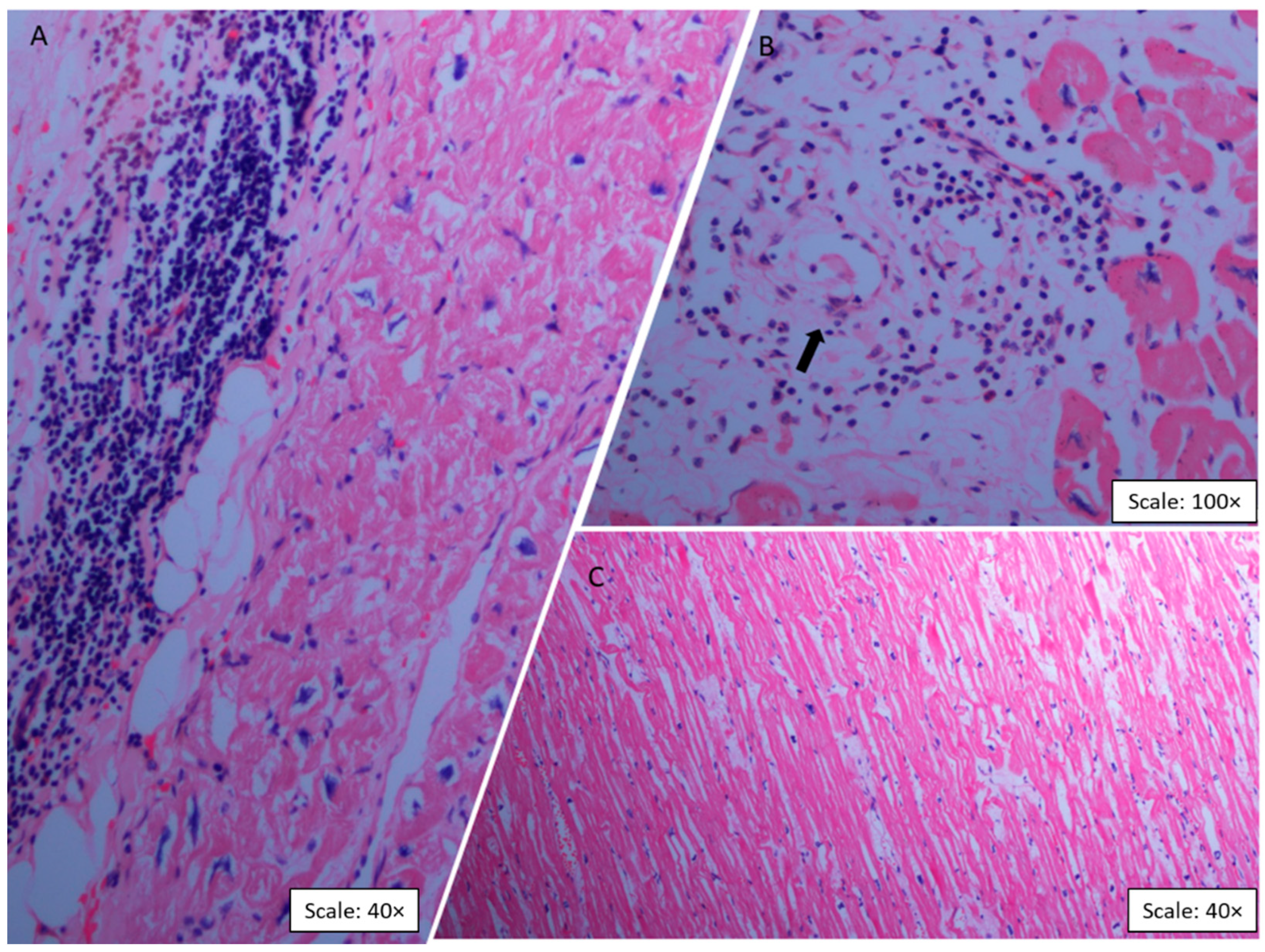 Ijms 23 10456 g001 550