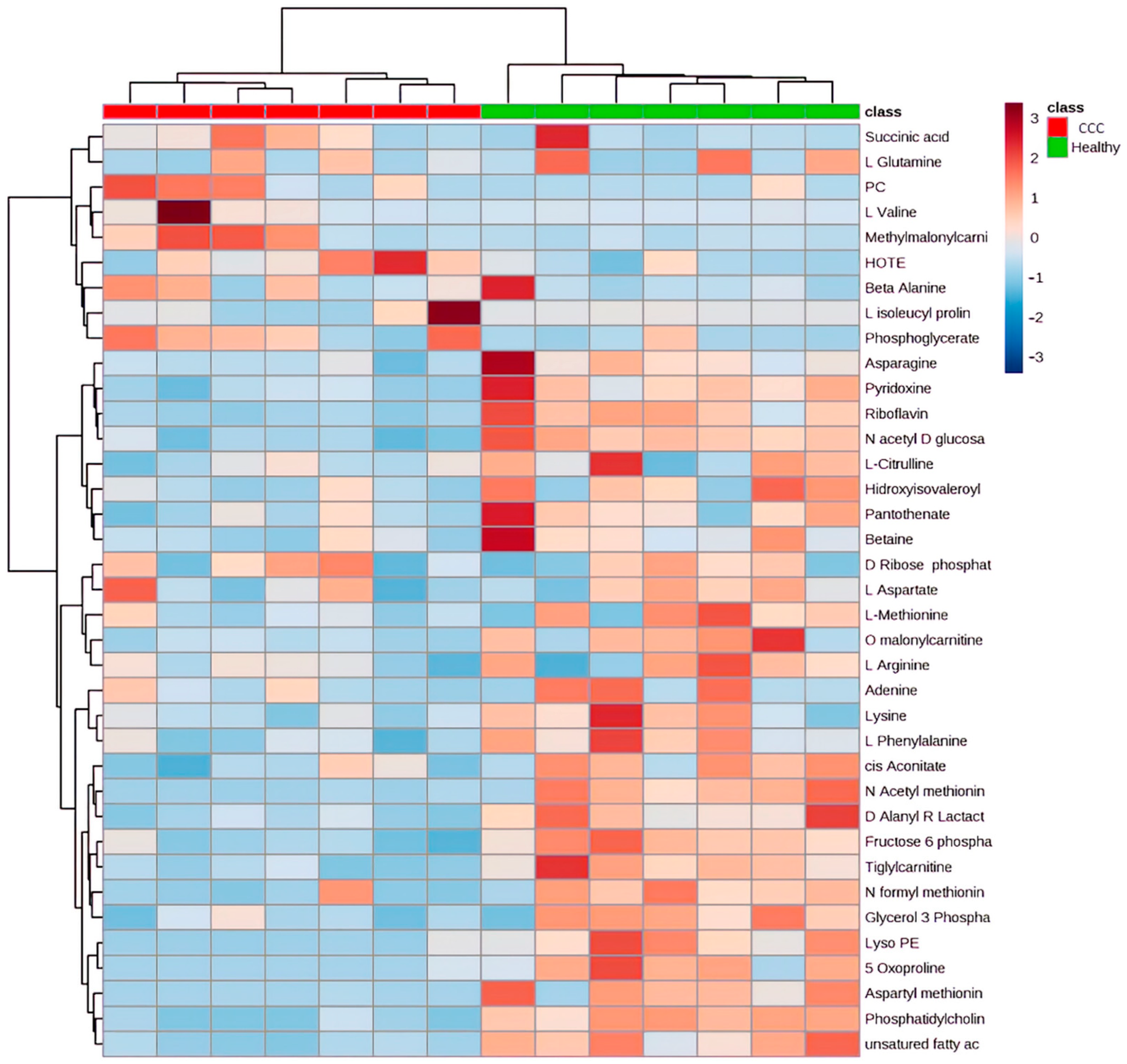 Ijms 23 10456 g003 550