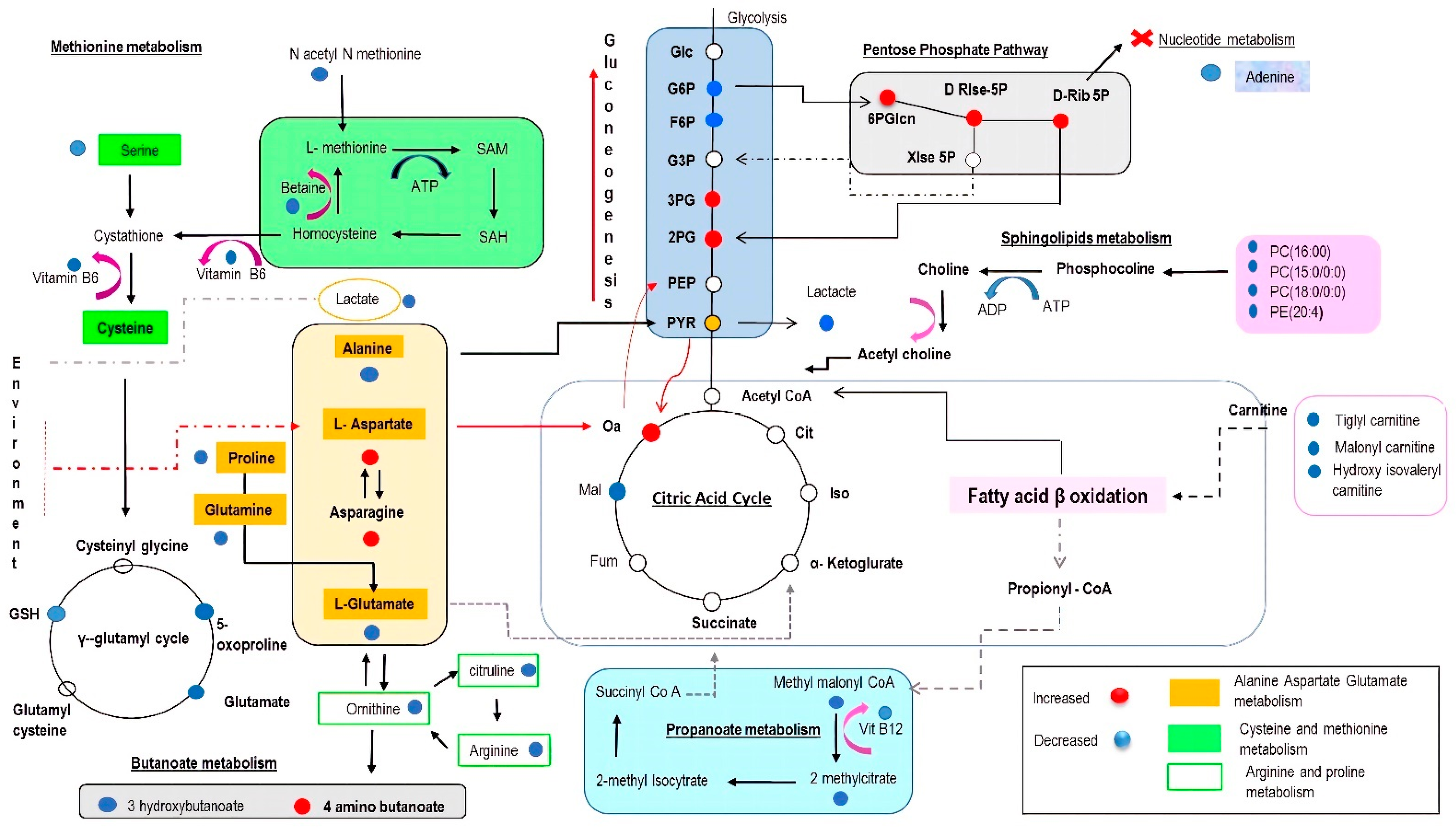 Ijms 23 10456 g005 550
