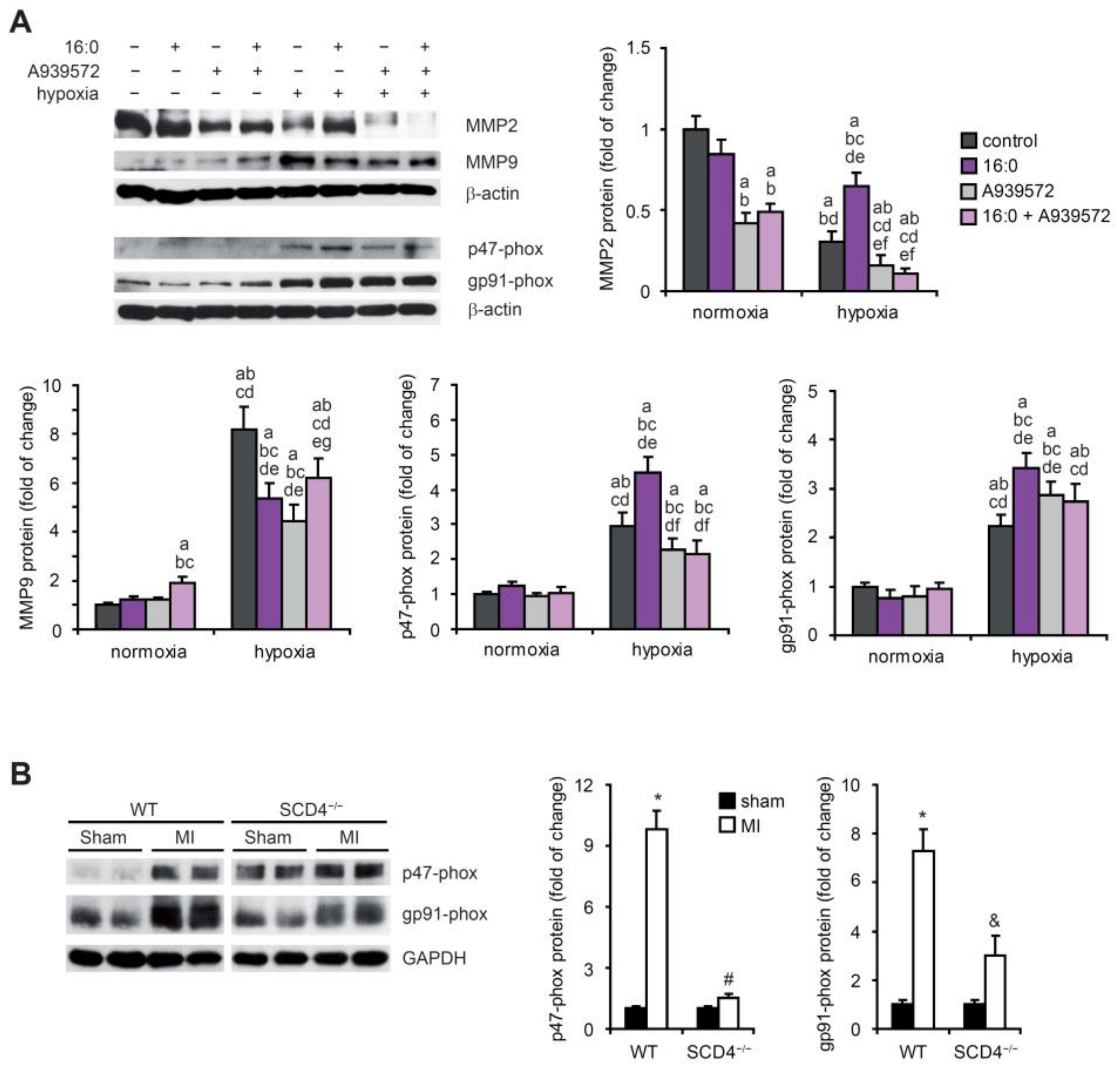 Ijms 23 10459 g005 Ijms 23 10459 g005