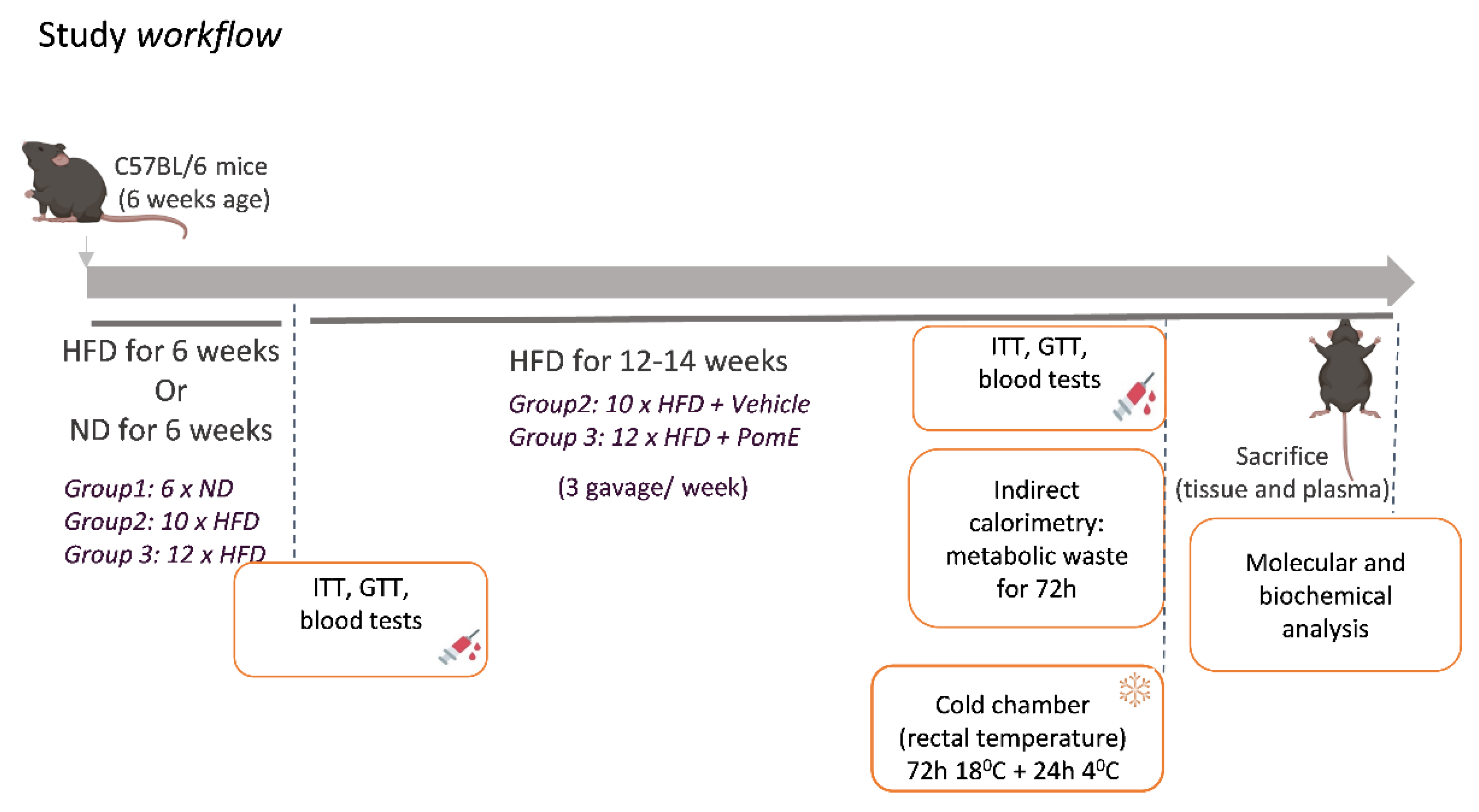 Ijms 23 10460 g001 550
