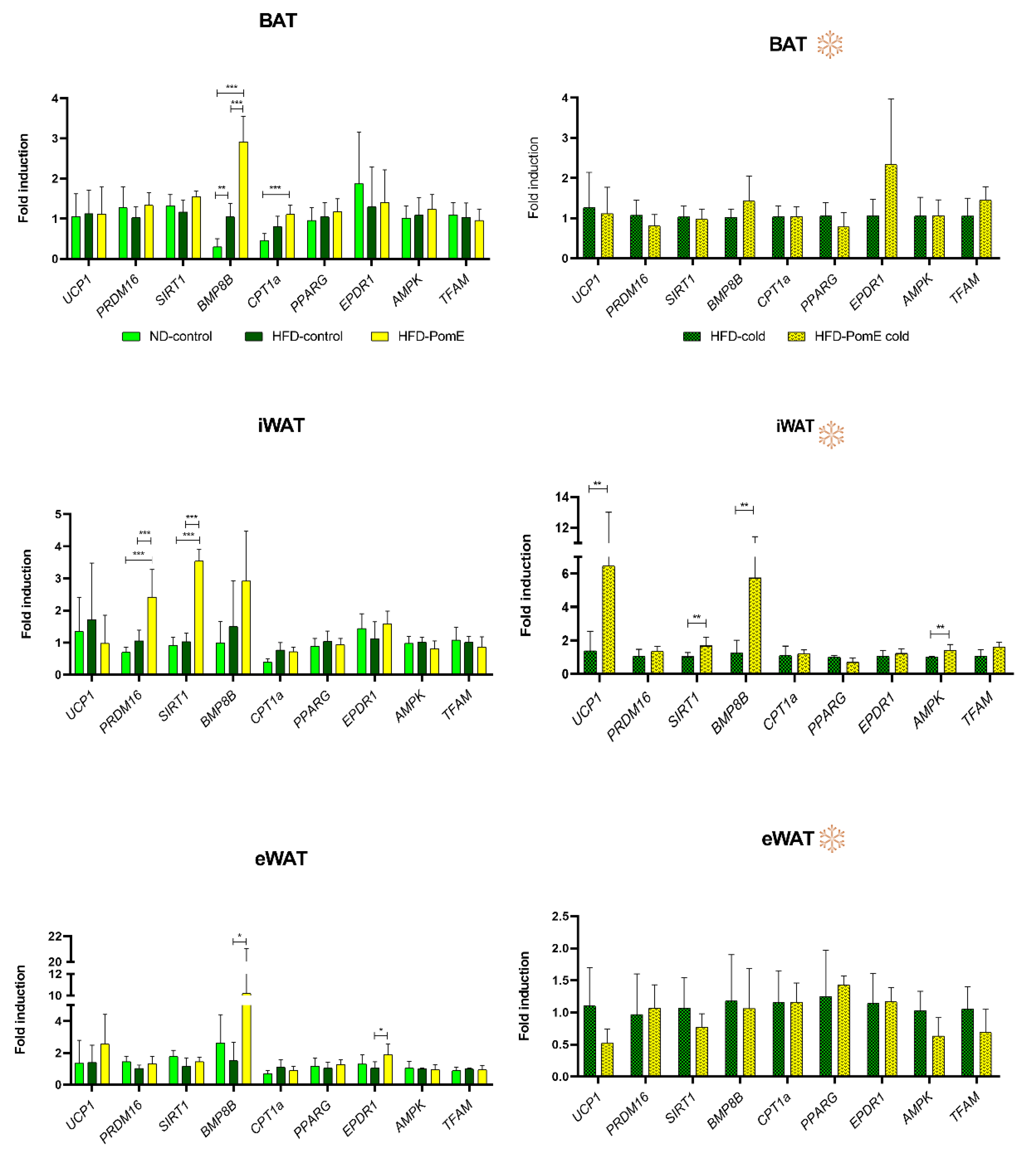 Ijms 23 10460 g006 550