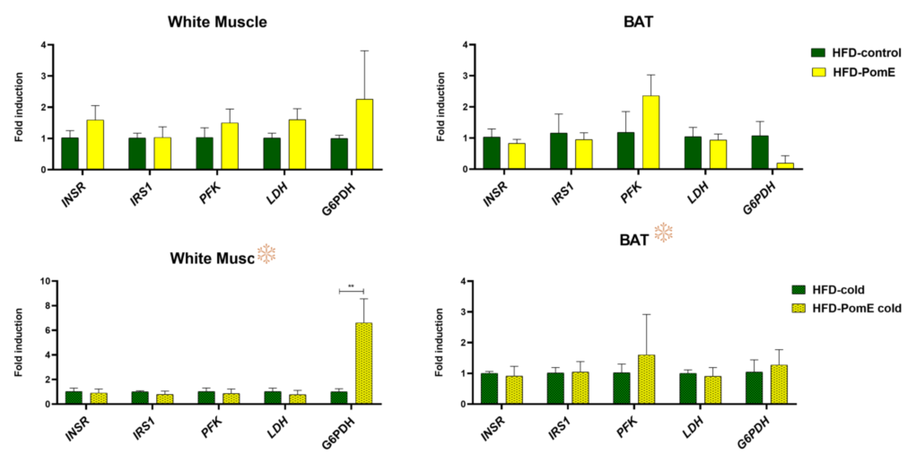 Ijms 23 10460 g008 550