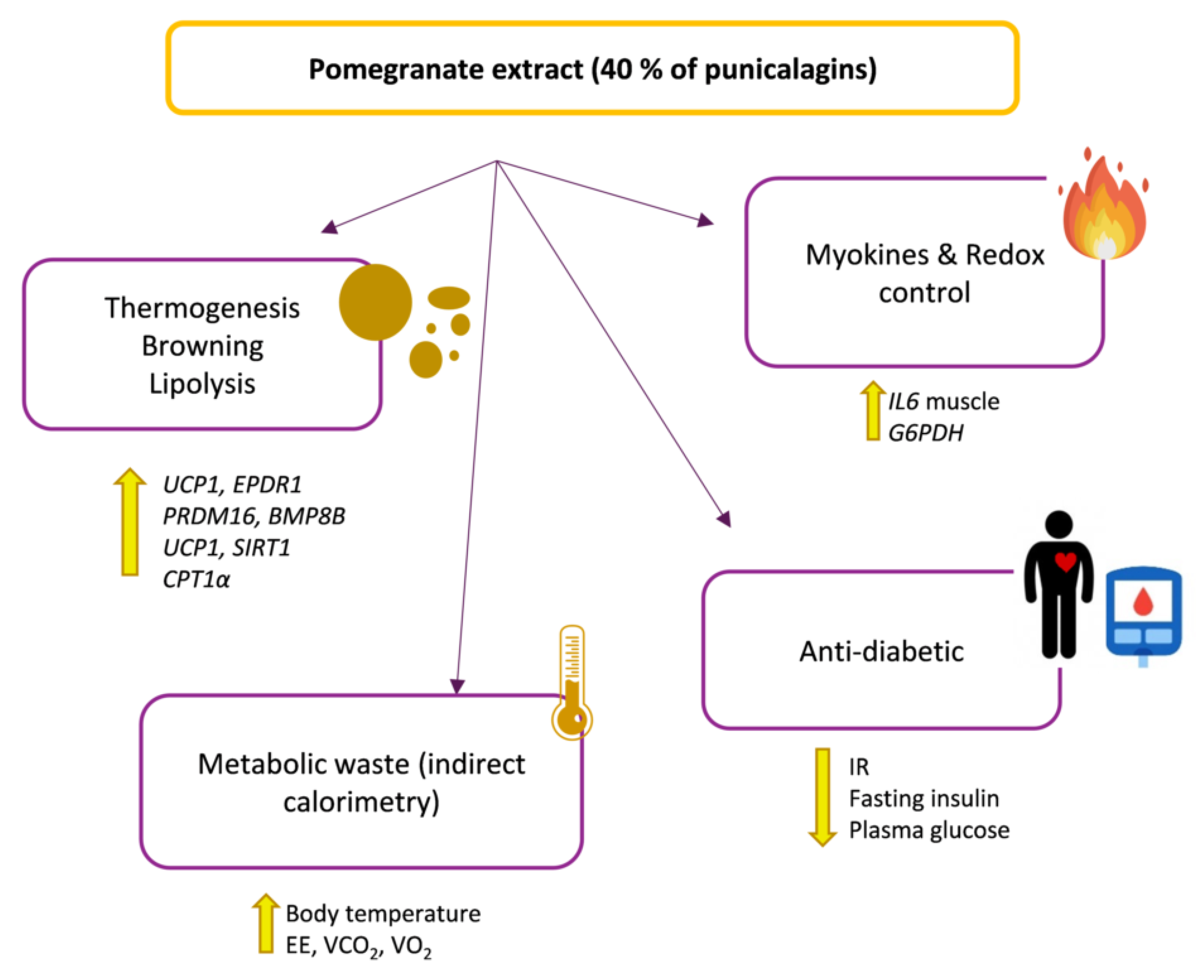 Ijms 23 10460 g009 550