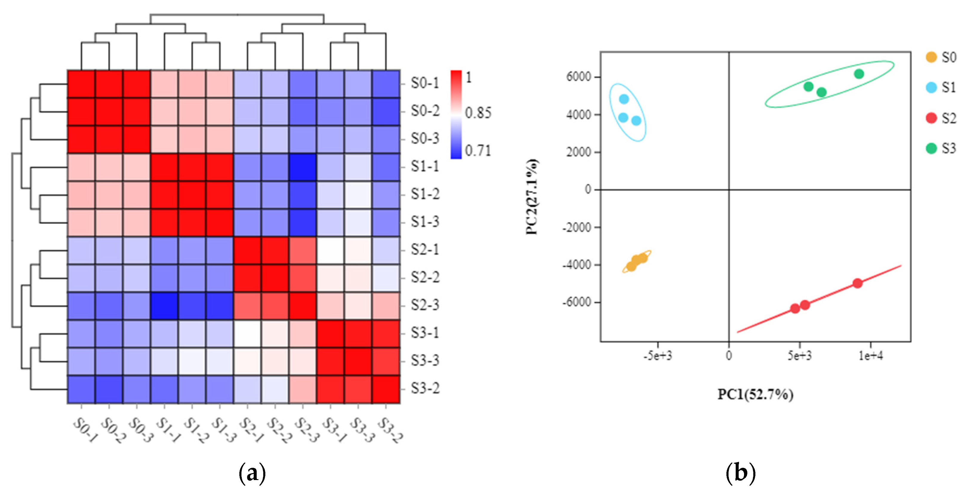 Ijms 23 10461 g003 Ijms 23 10461 g003