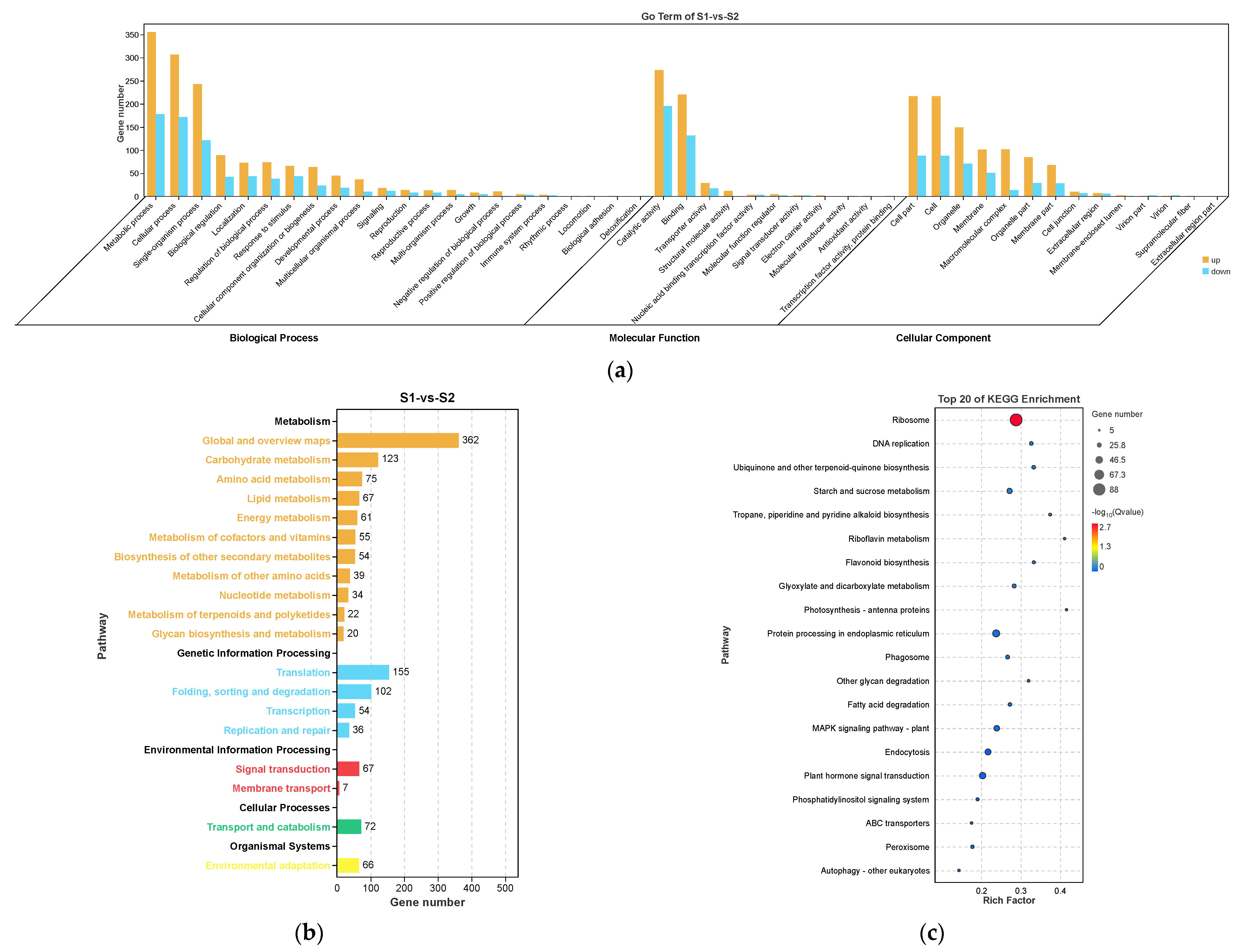 Ijms 23 10461 g006 Ijms 23 10461 g006