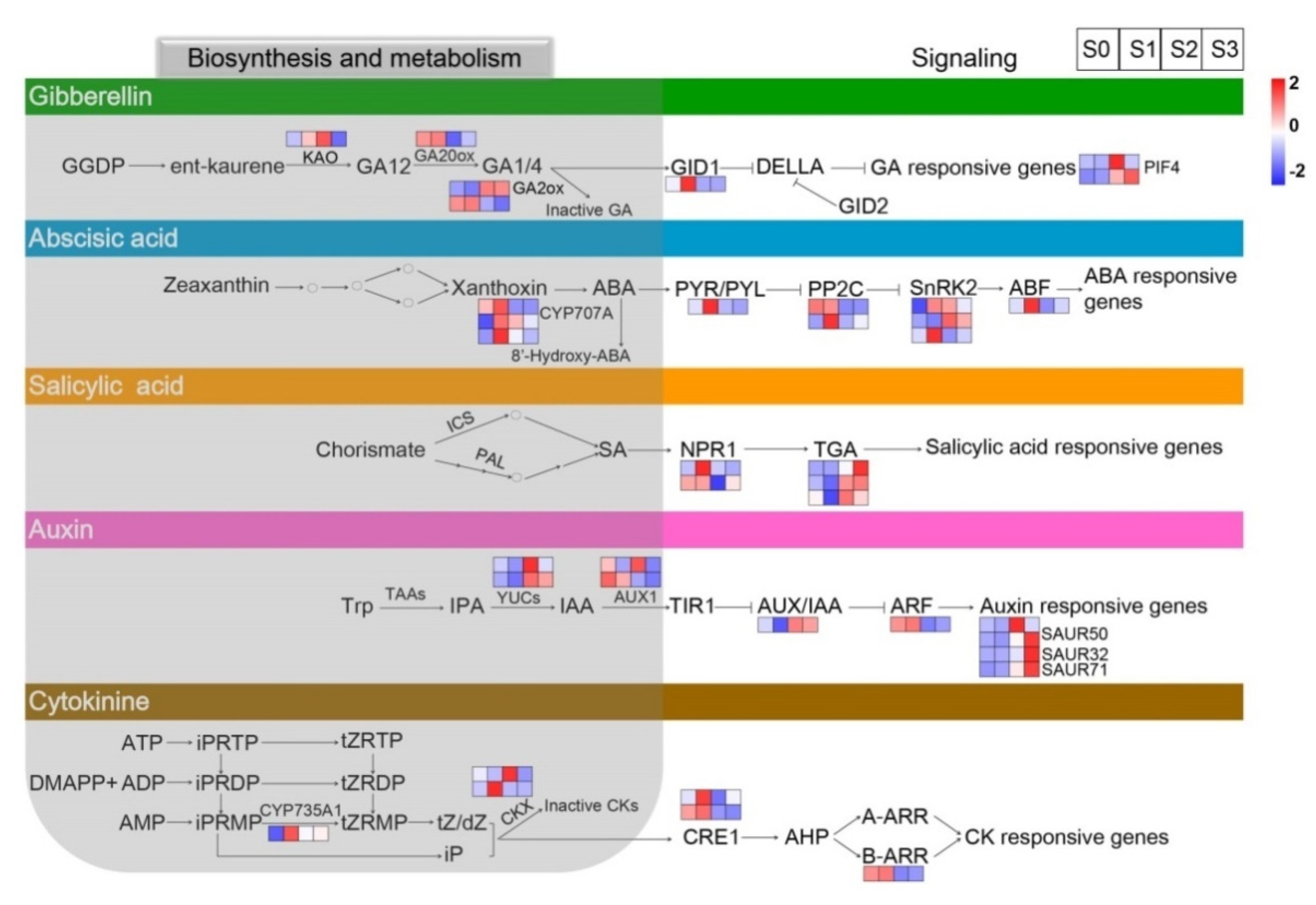 Ijms 23 10461 g007 Ijms 23 10461 g007