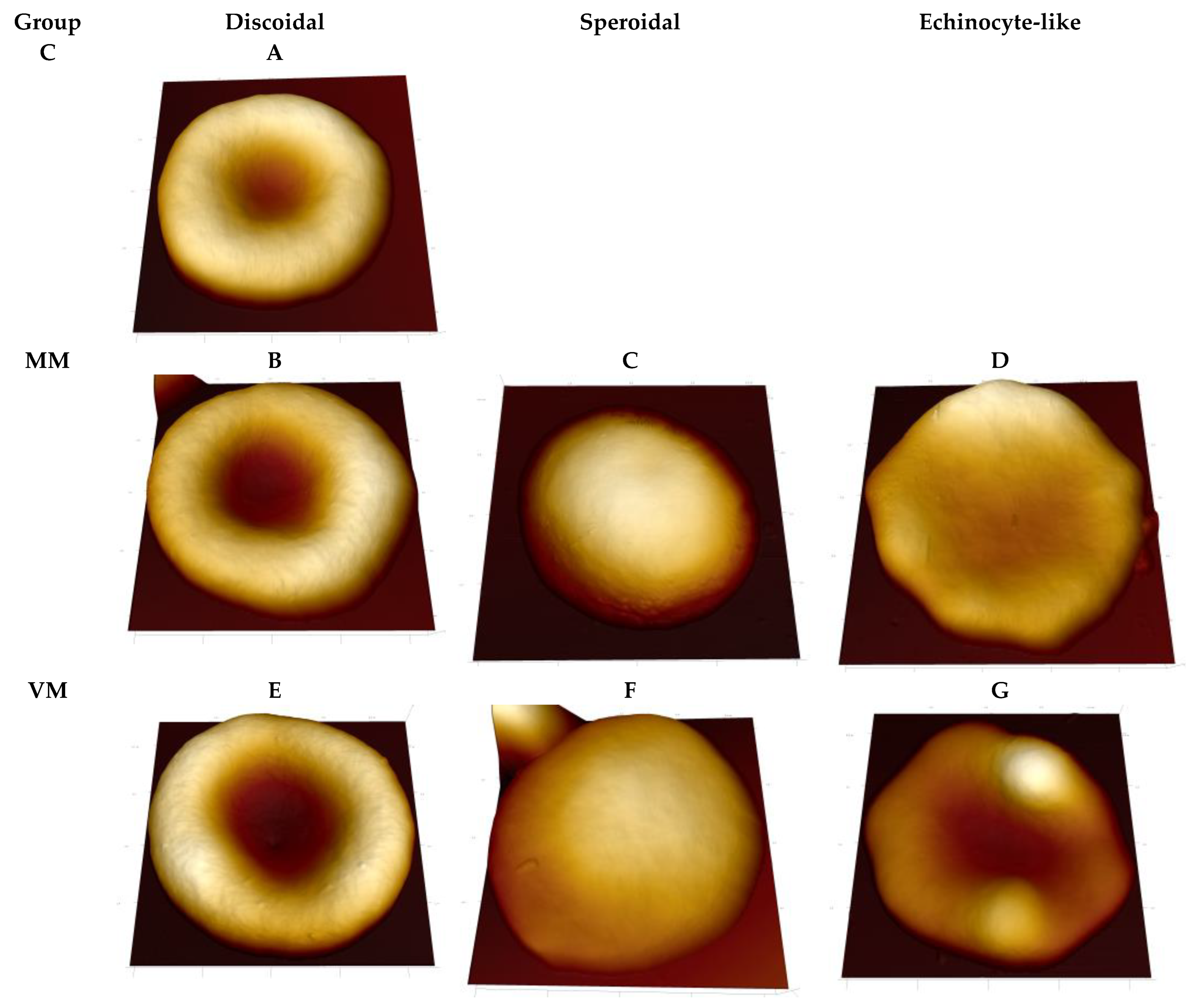 Ijms 23 10464 g001 Ijms 23 10464 g001