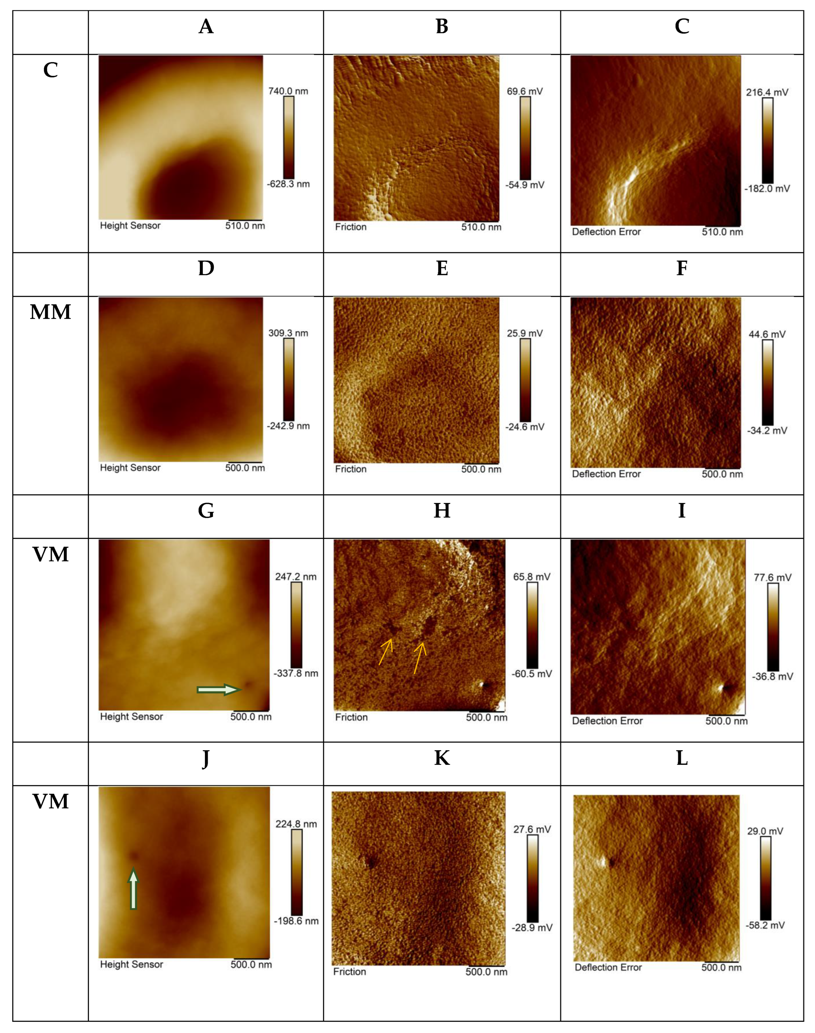 Ijms 23 10464 g002 Ijms 23 10464 g002