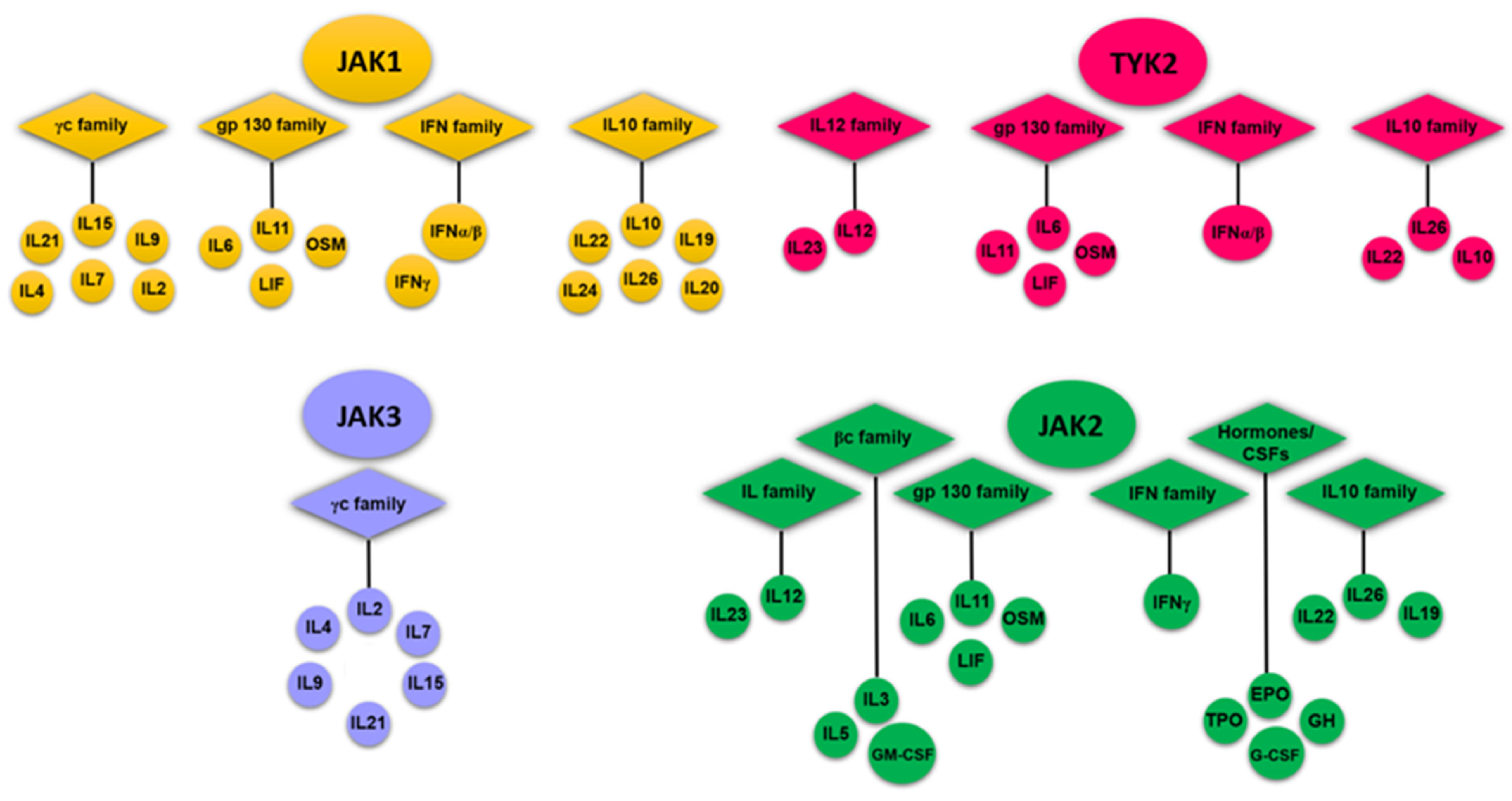 Ijms 23 10466 g001 Ijms 23 10466 g001