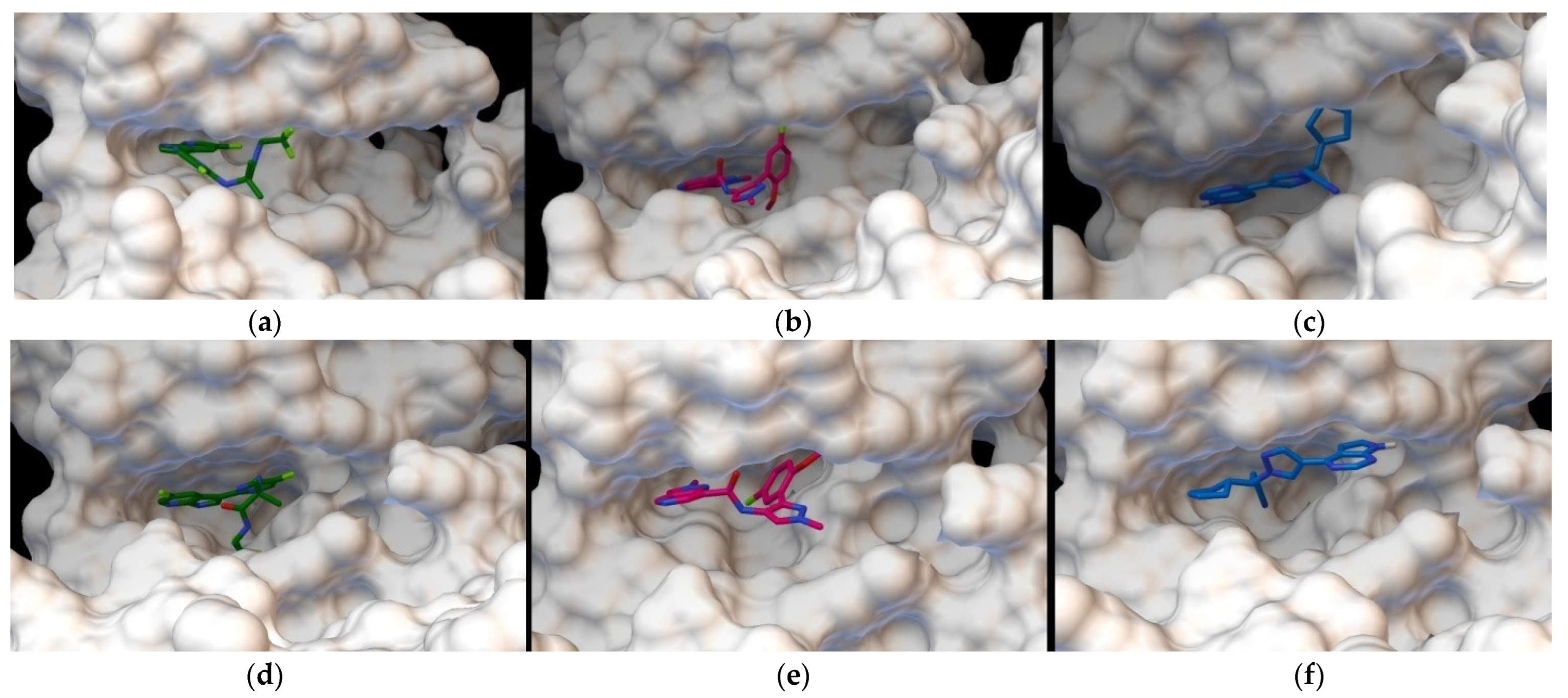 Ijms 23 10466 g003 Ijms 23 10466 g003