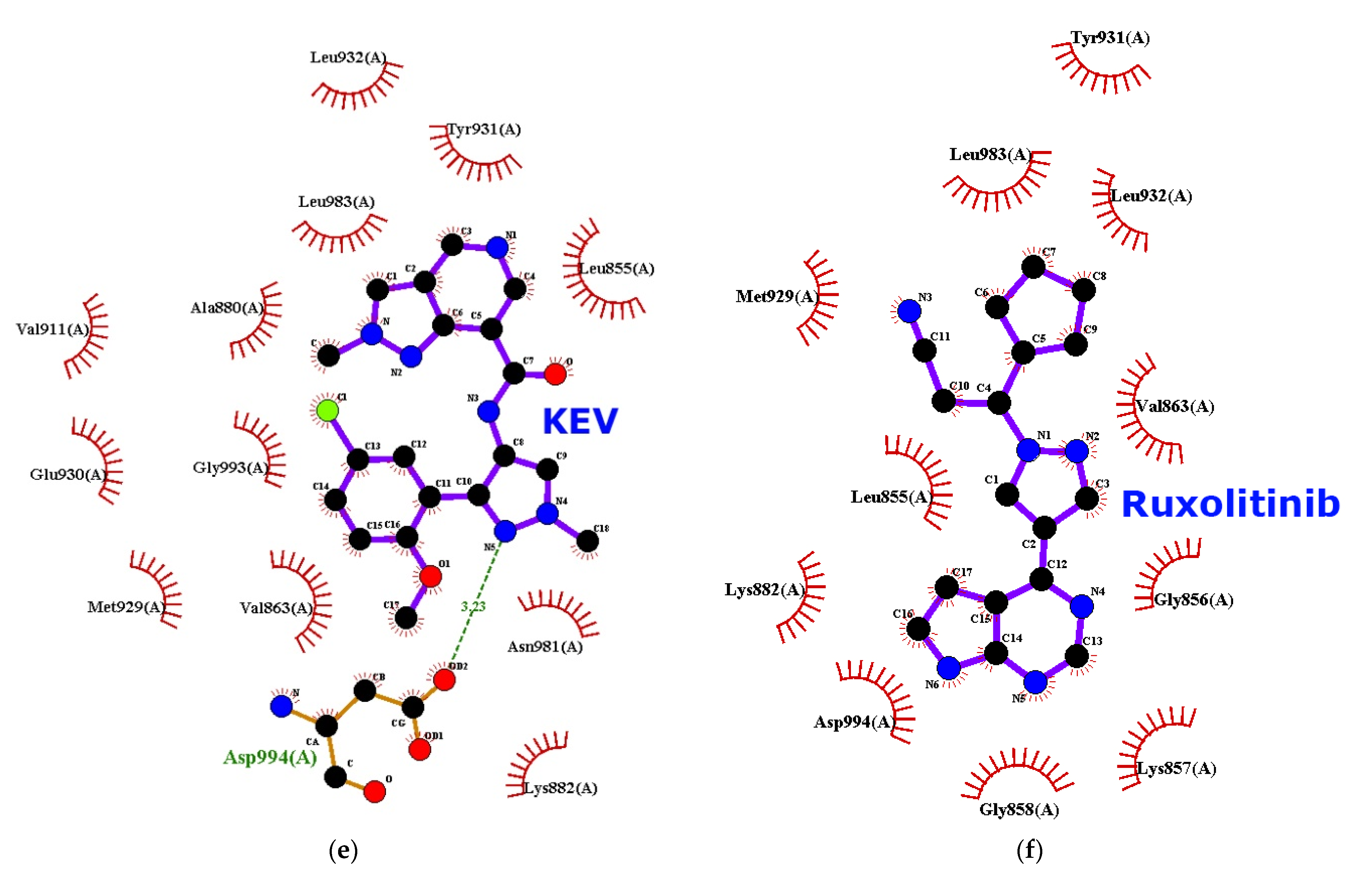 Ijms 23 10466 g004b Ijms 23 10466 g004b