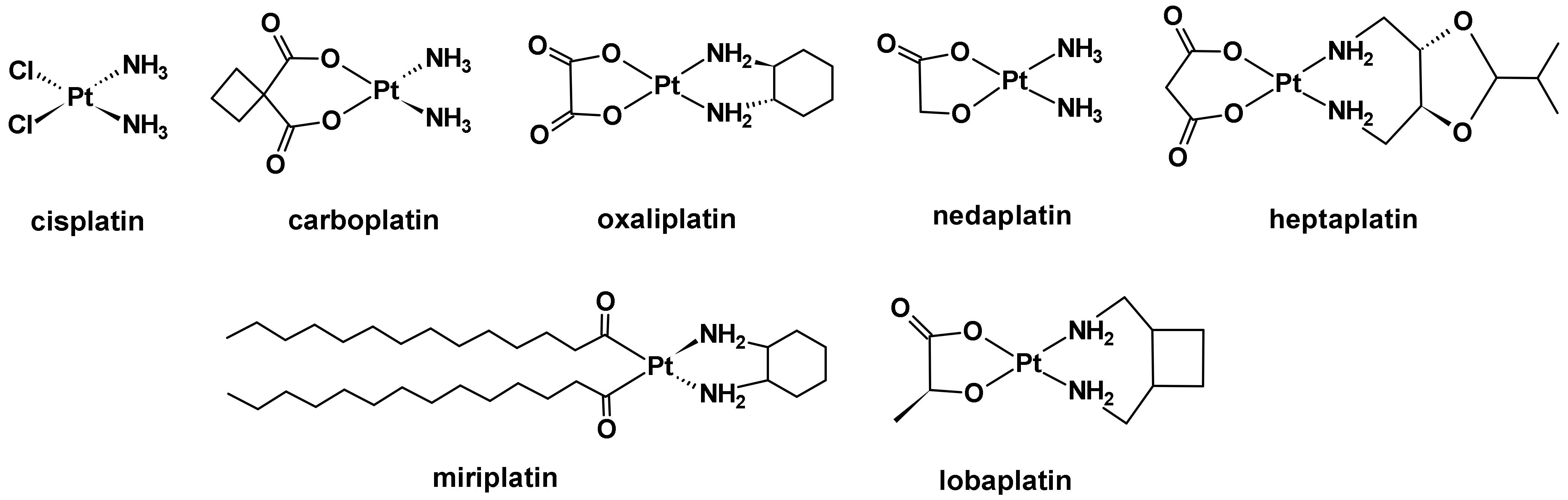Ijms 23 10471 g001 550