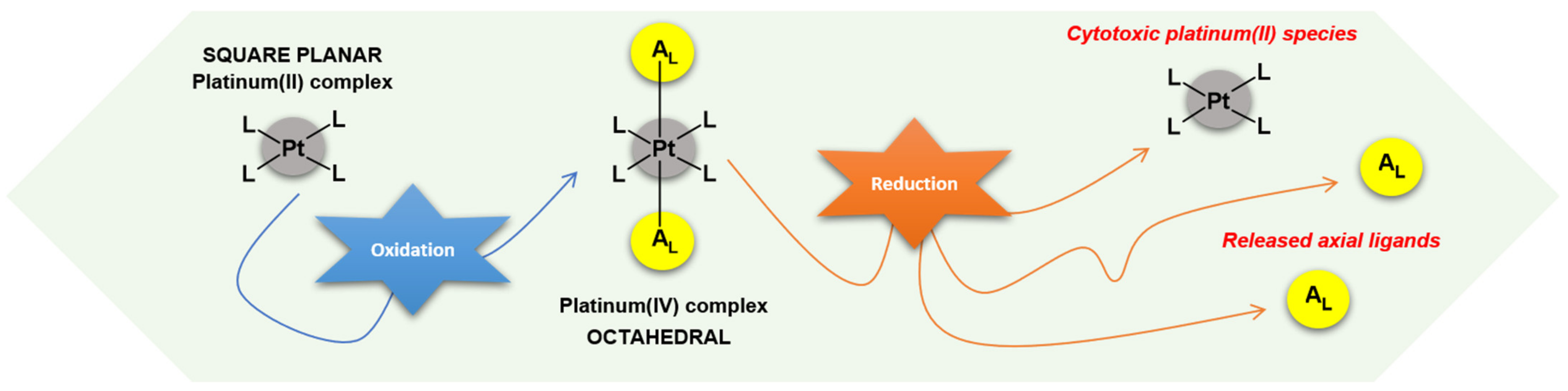 Ijms 23 10471 g003 550