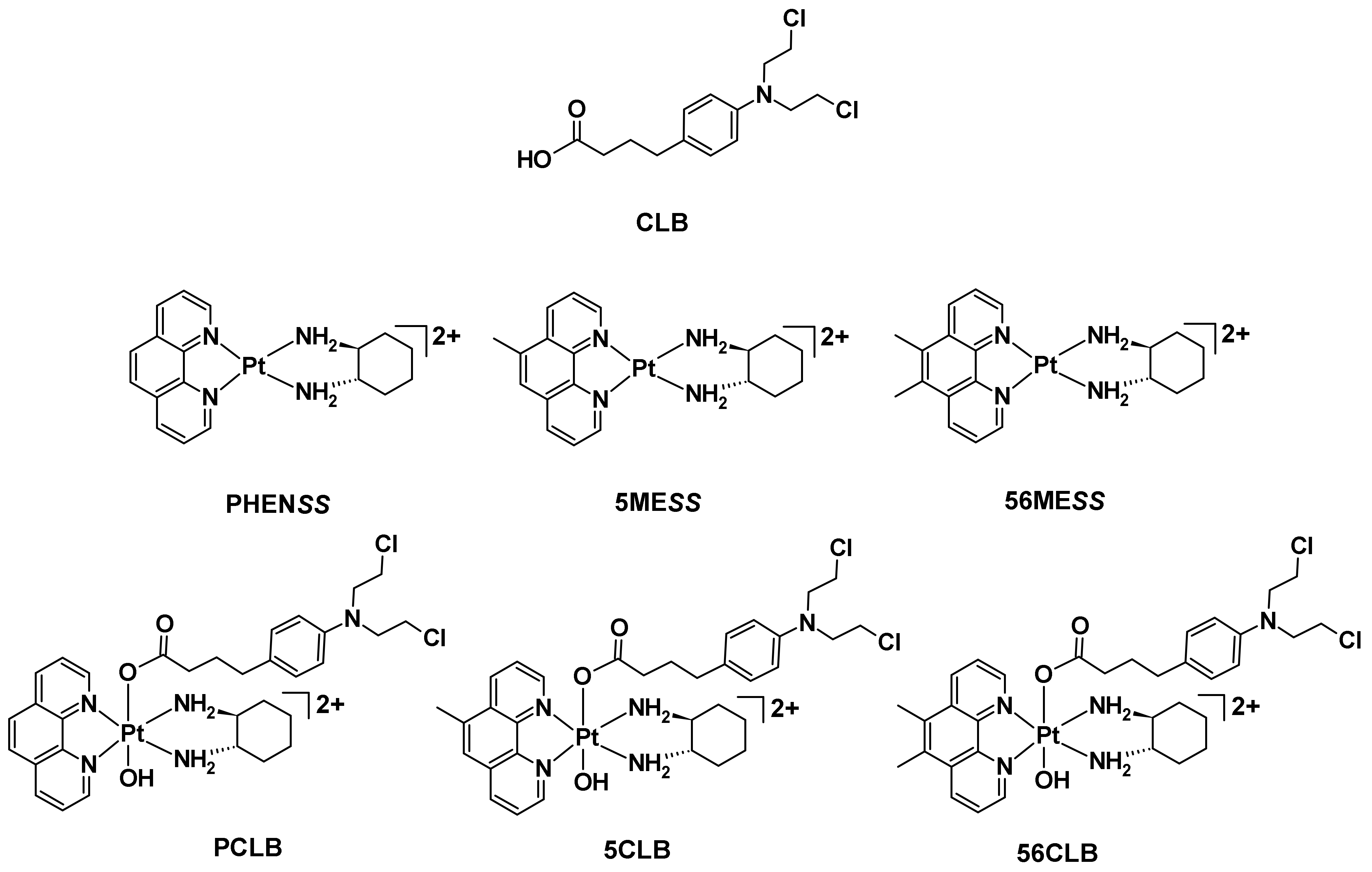 Ijms 23 10471 g004 550