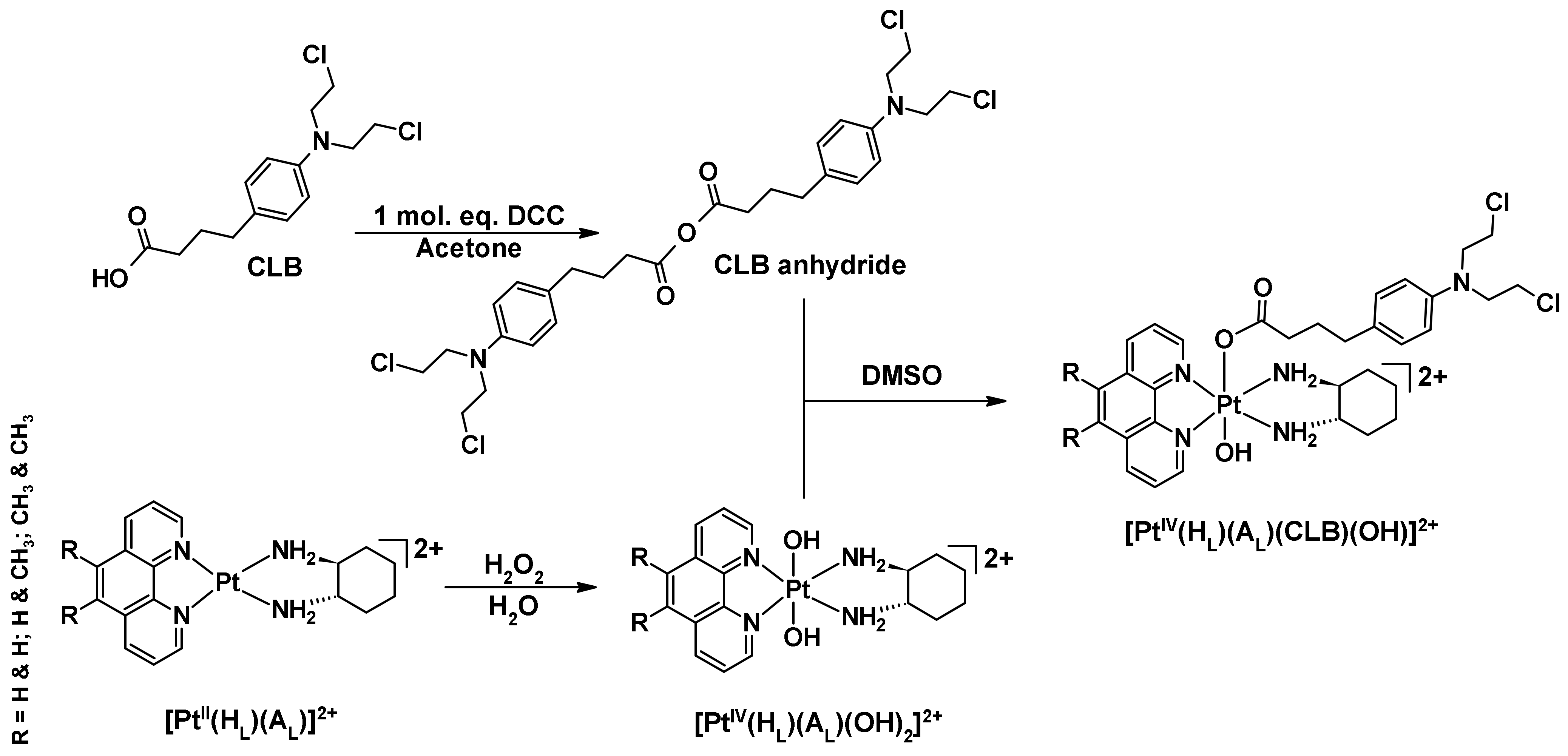 Ijms 23 10471 g005 550
