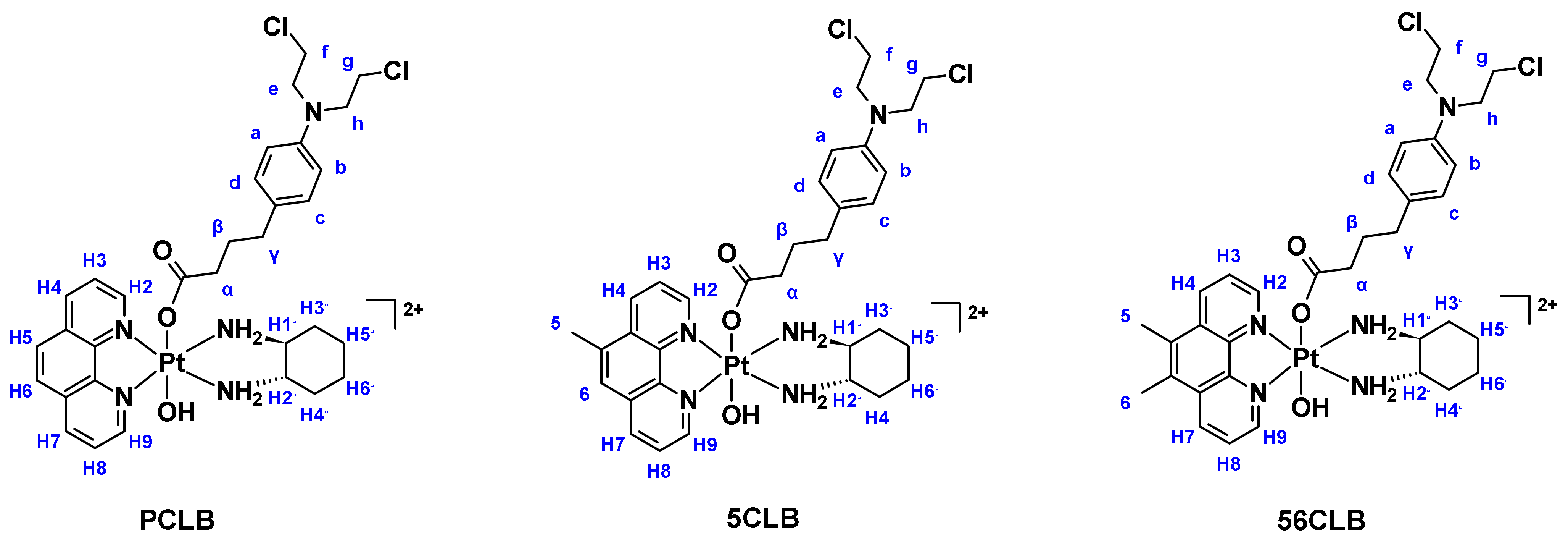 Ijms 23 10471 g006 550