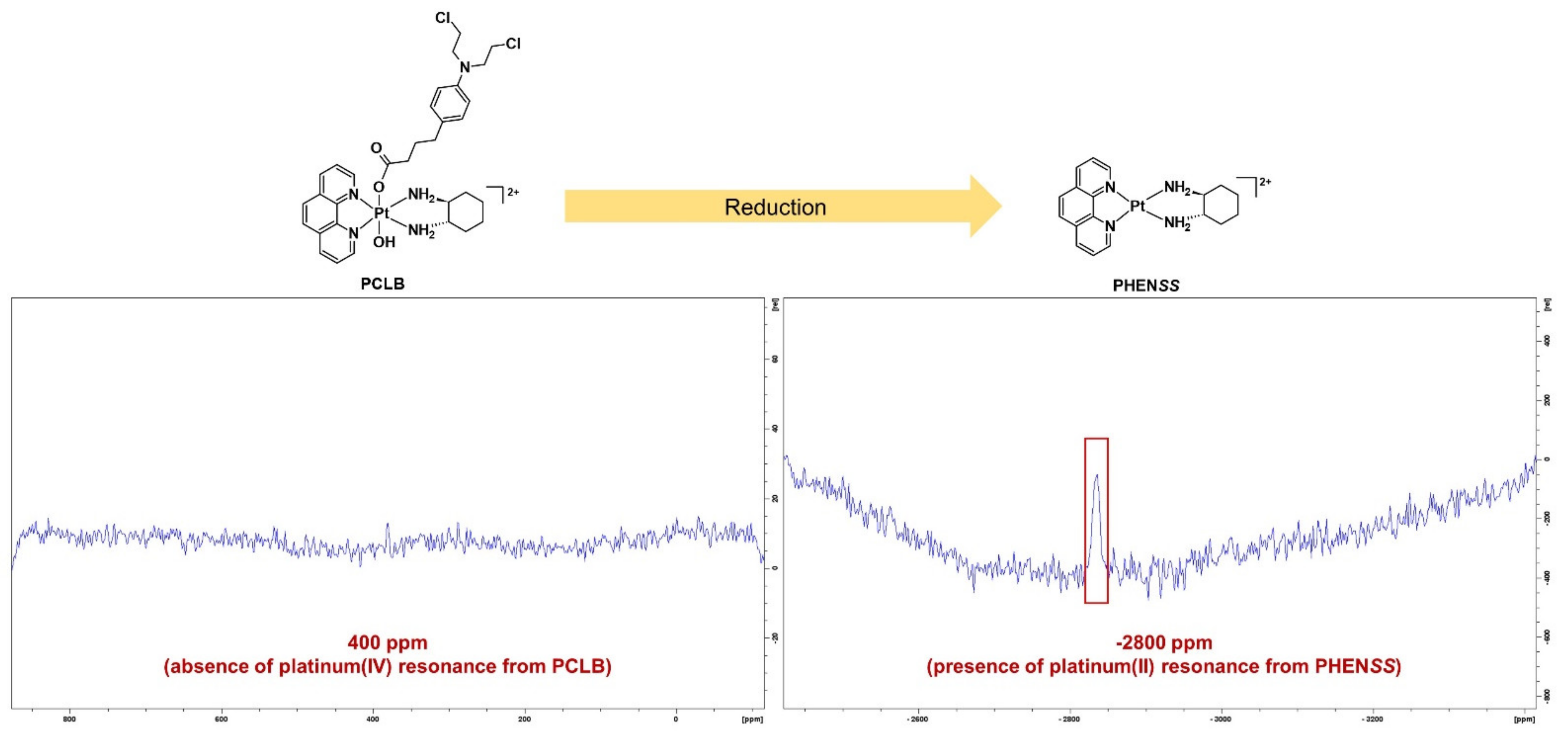 Ijms 23 10471 g013 550