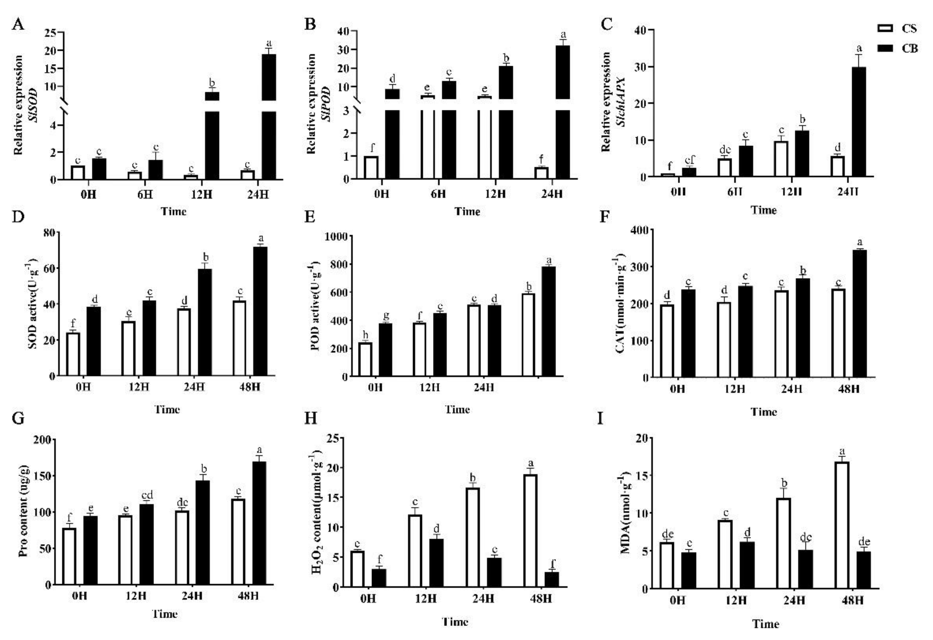 Ijms 23 10474 g002 550
