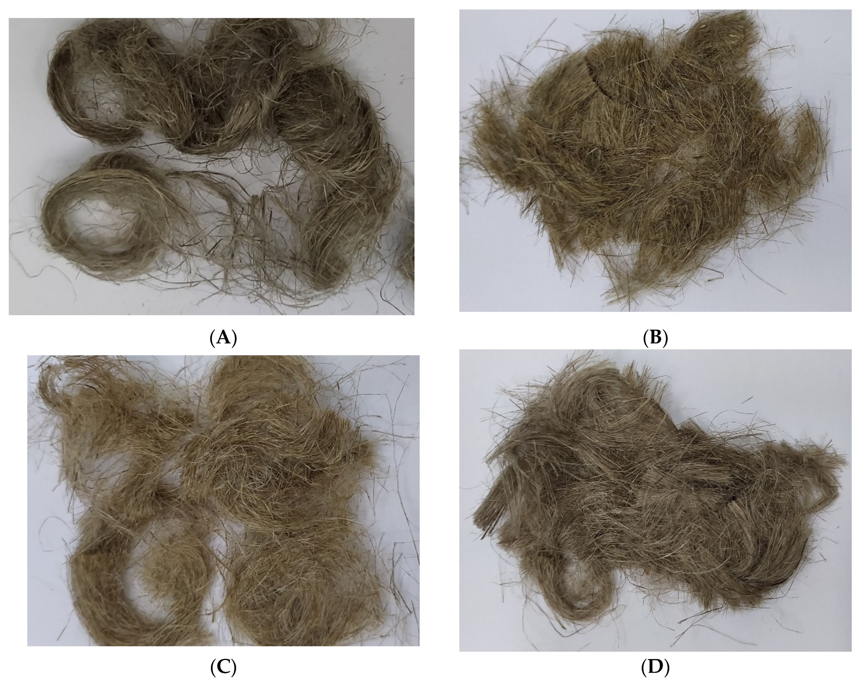 Ijms 23 10480 g017 550