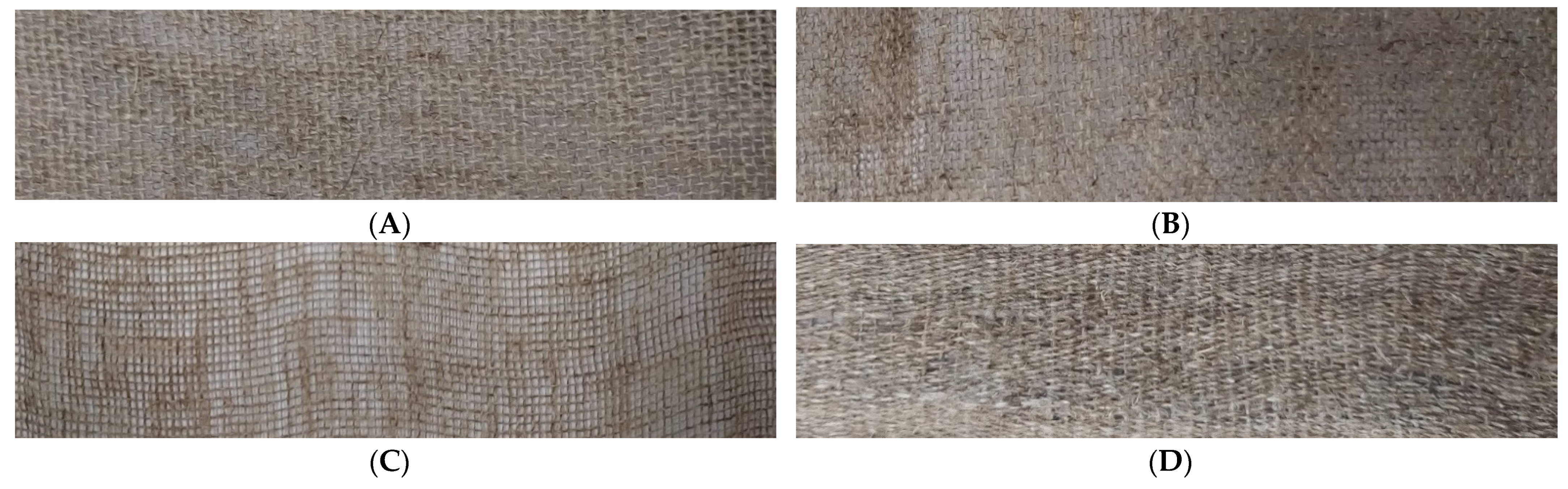 Ijms 23 10480 g018 550