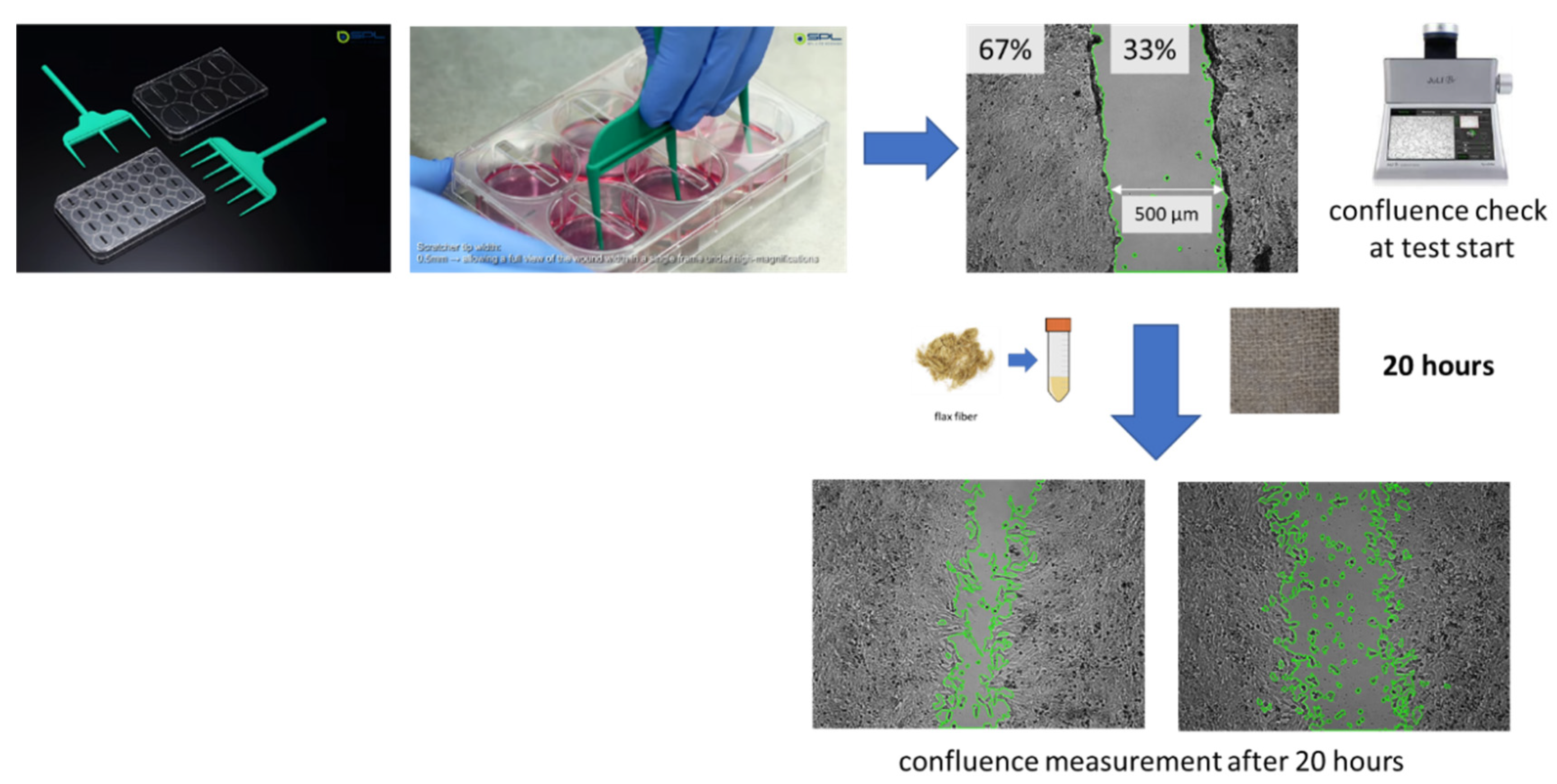 Ijms 23 10480 g020 550