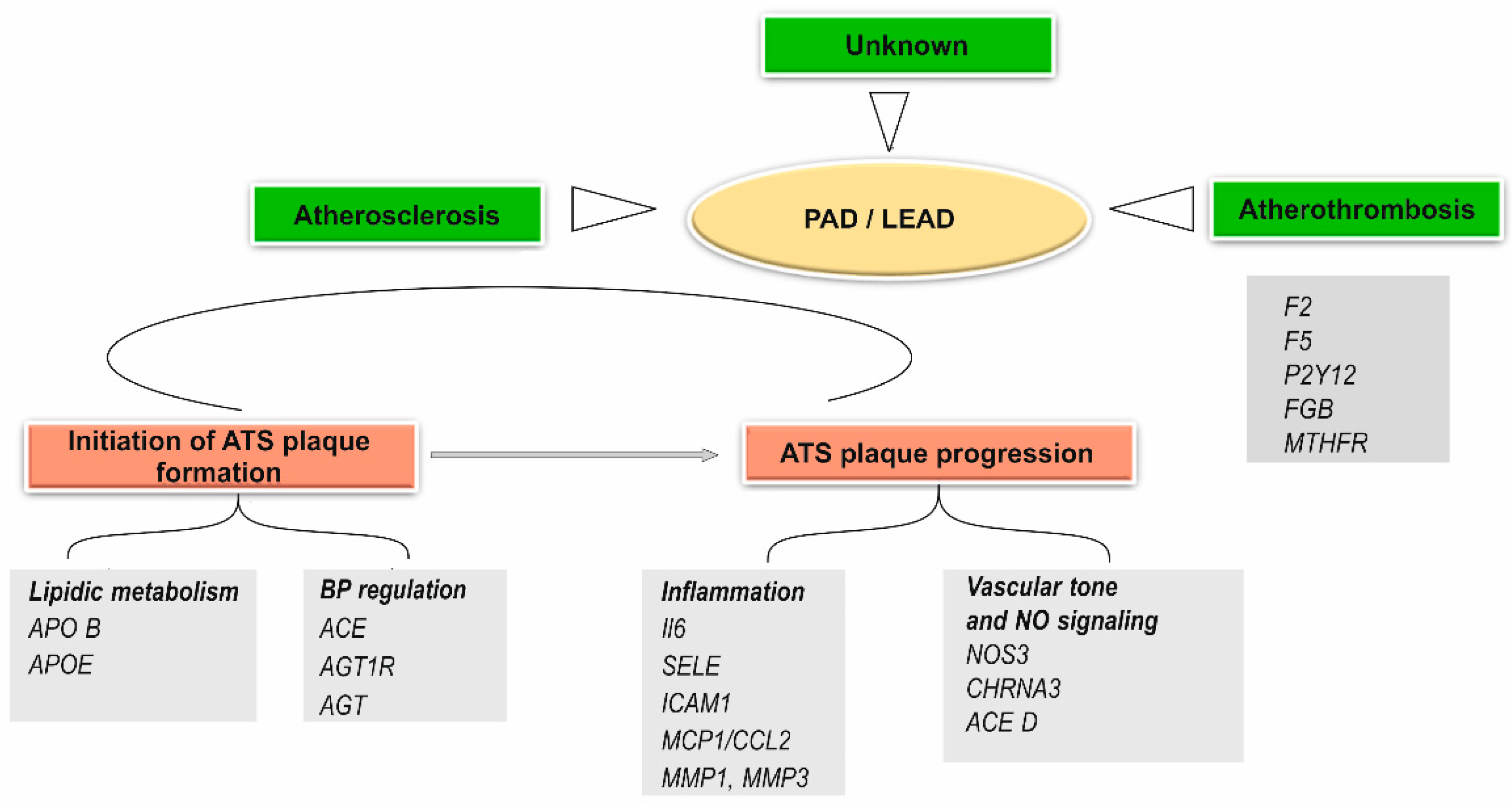 Ijms 23 10481 g002 Ijms 23 10481 g002