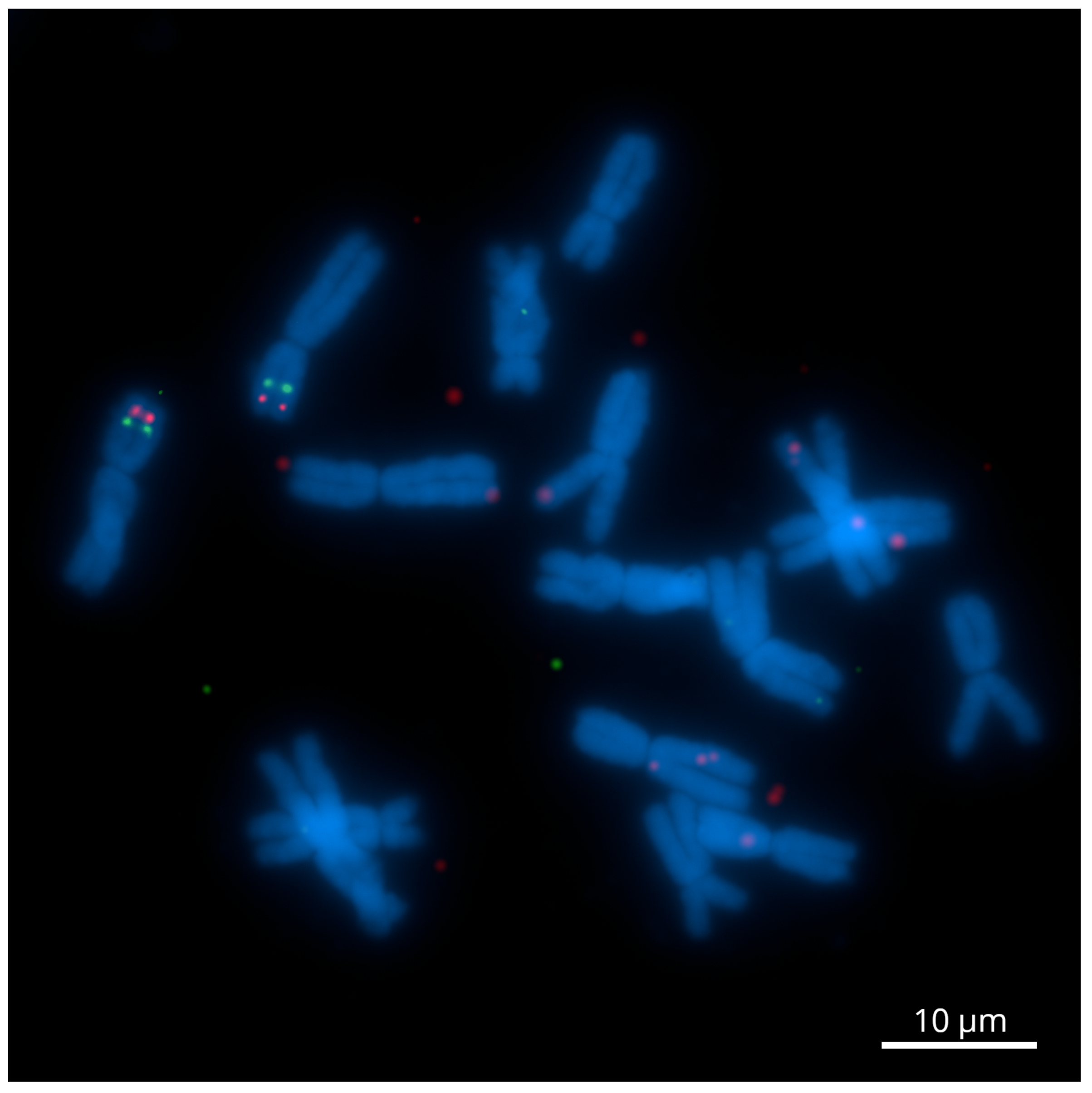 Ijms 23 10486 g001 Ijms 23 10486 g001