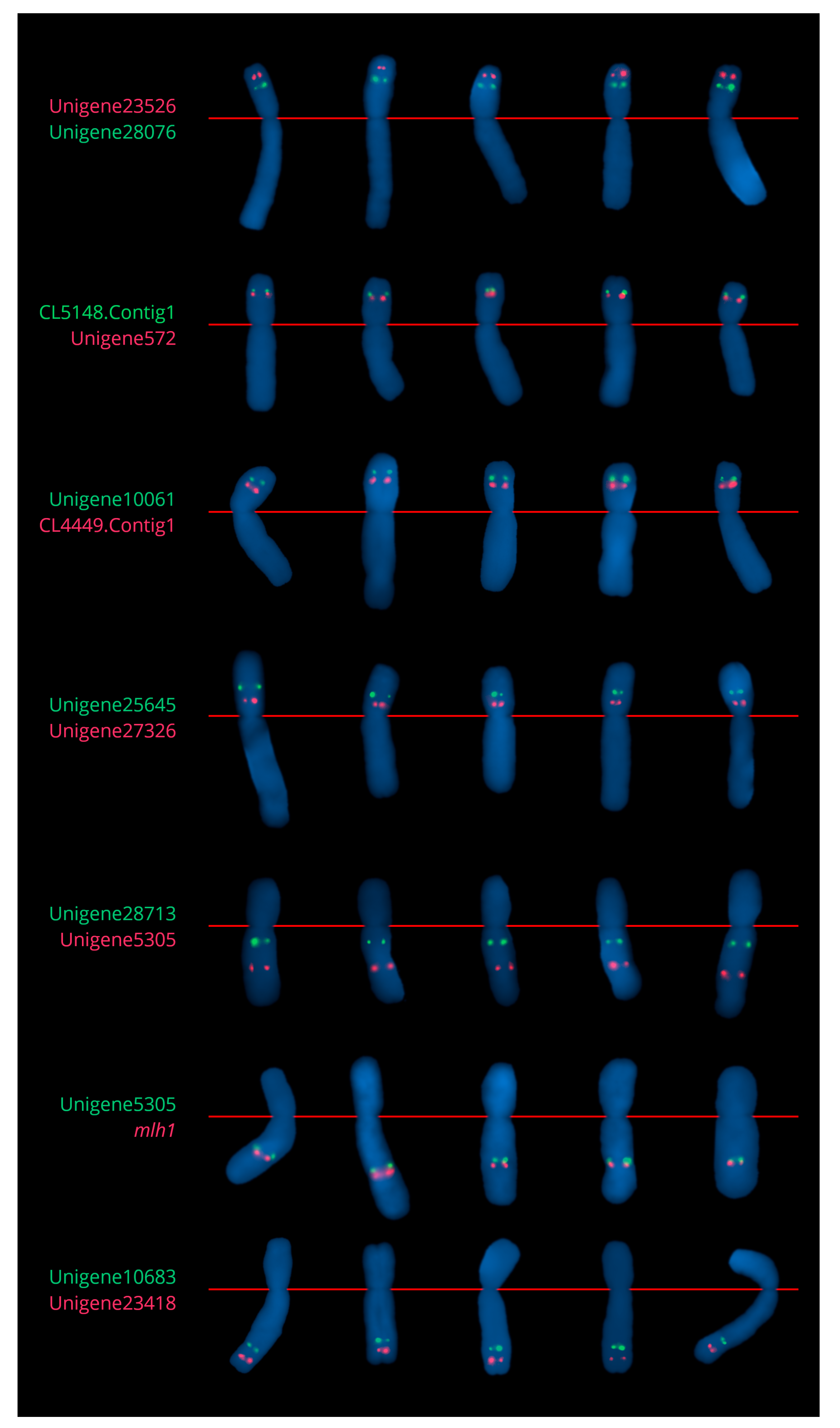 Ijms 23 10486 g002 Ijms 23 10486 g002