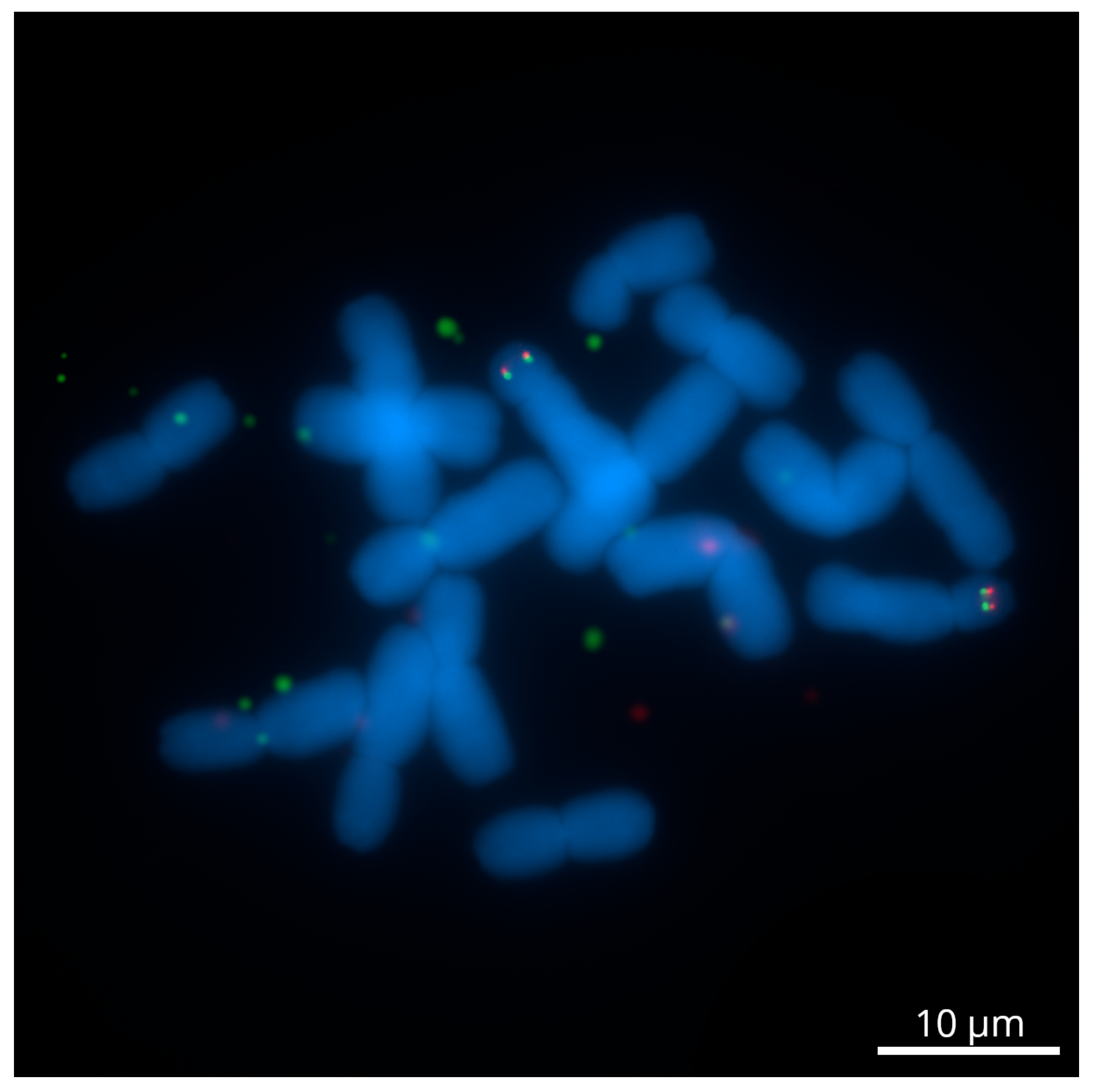 Ijms 23 10486 g003 Ijms 23 10486 g003