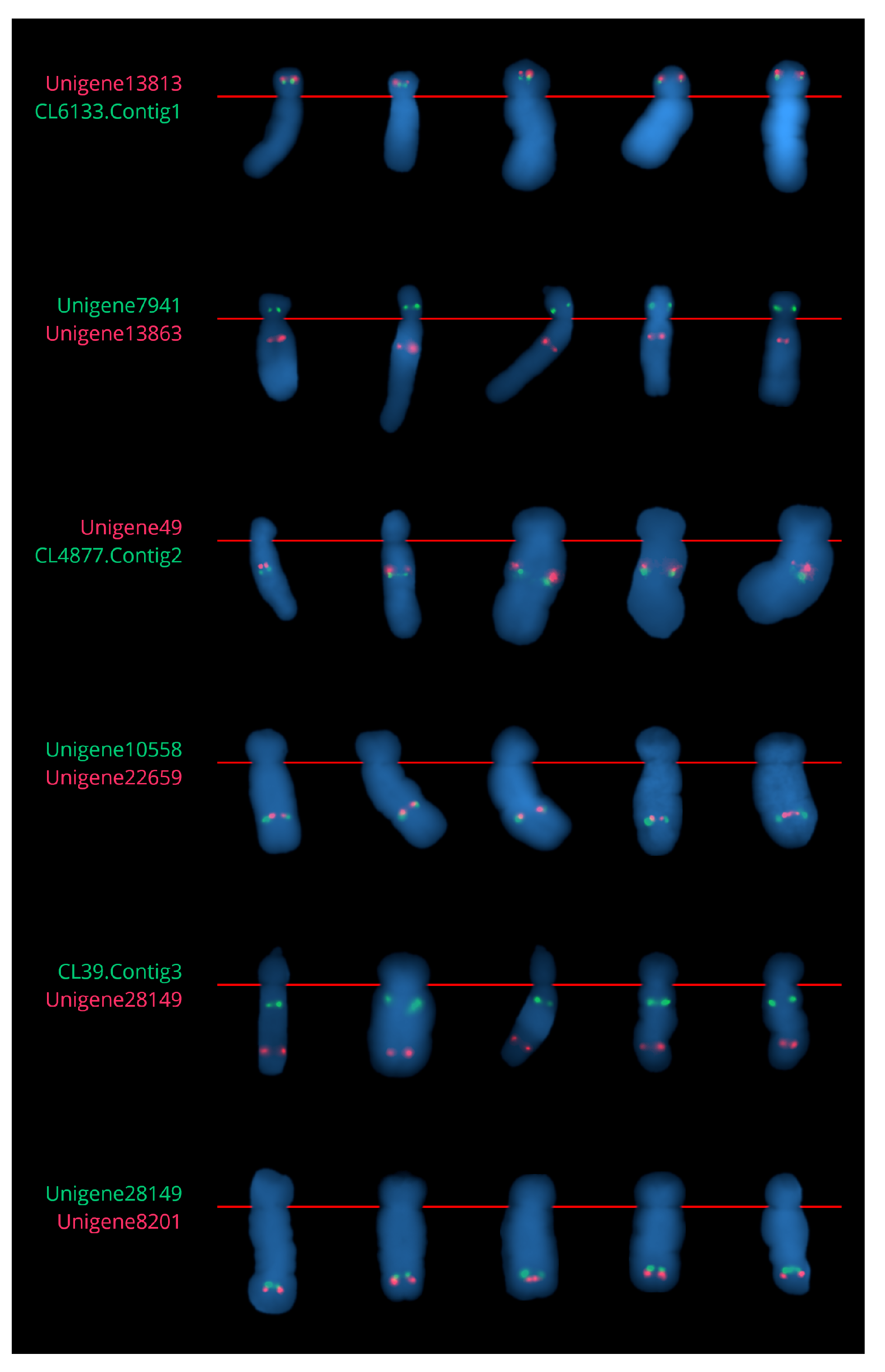 Ijms 23 10486 g004 Ijms 23 10486 g004