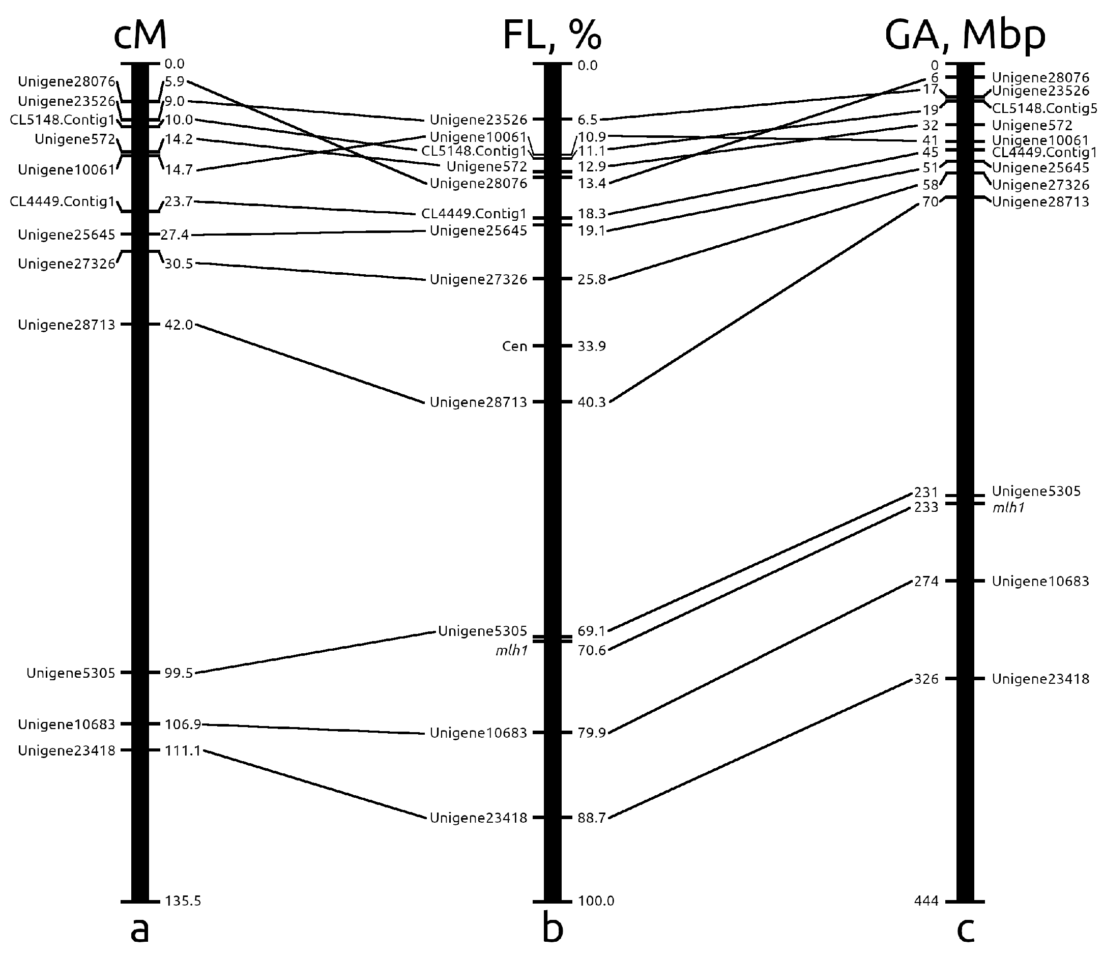 Ijms 23 10486 g005 Ijms 23 10486 g005
