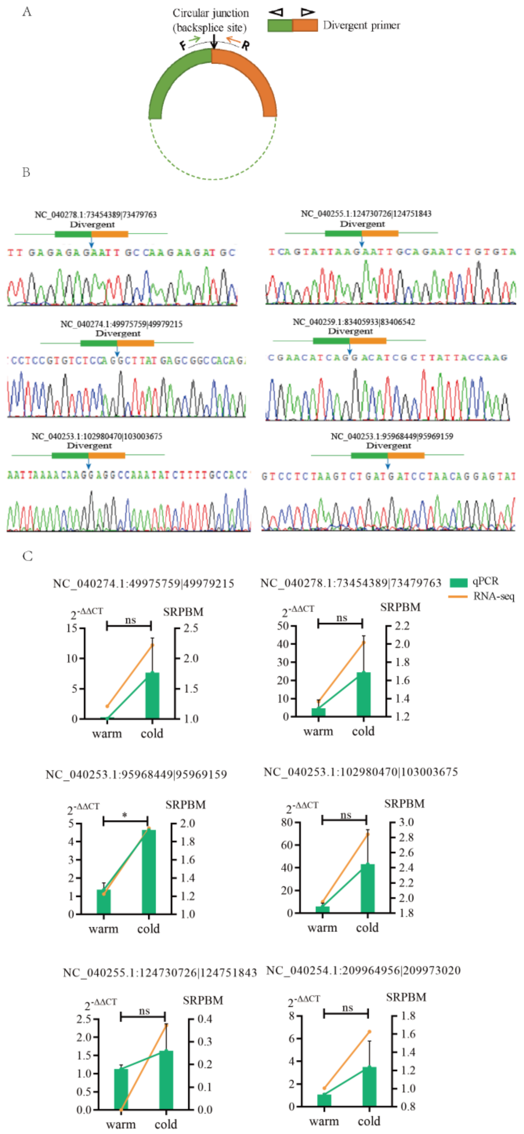 Ijms 23 10488 g002 Ijms 23 10488 g002