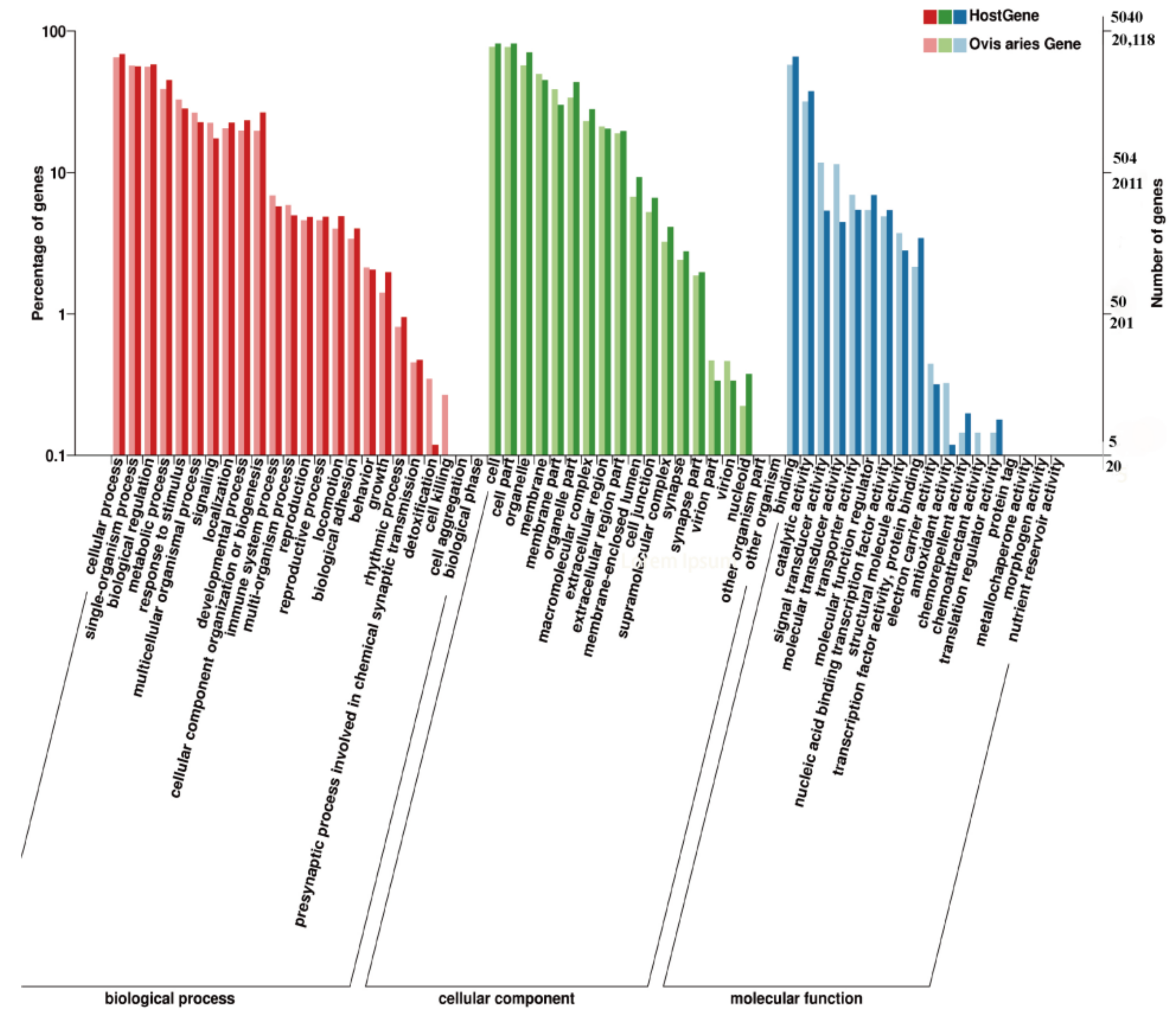 Ijms 23 10488 g004 Ijms 23 10488 g004