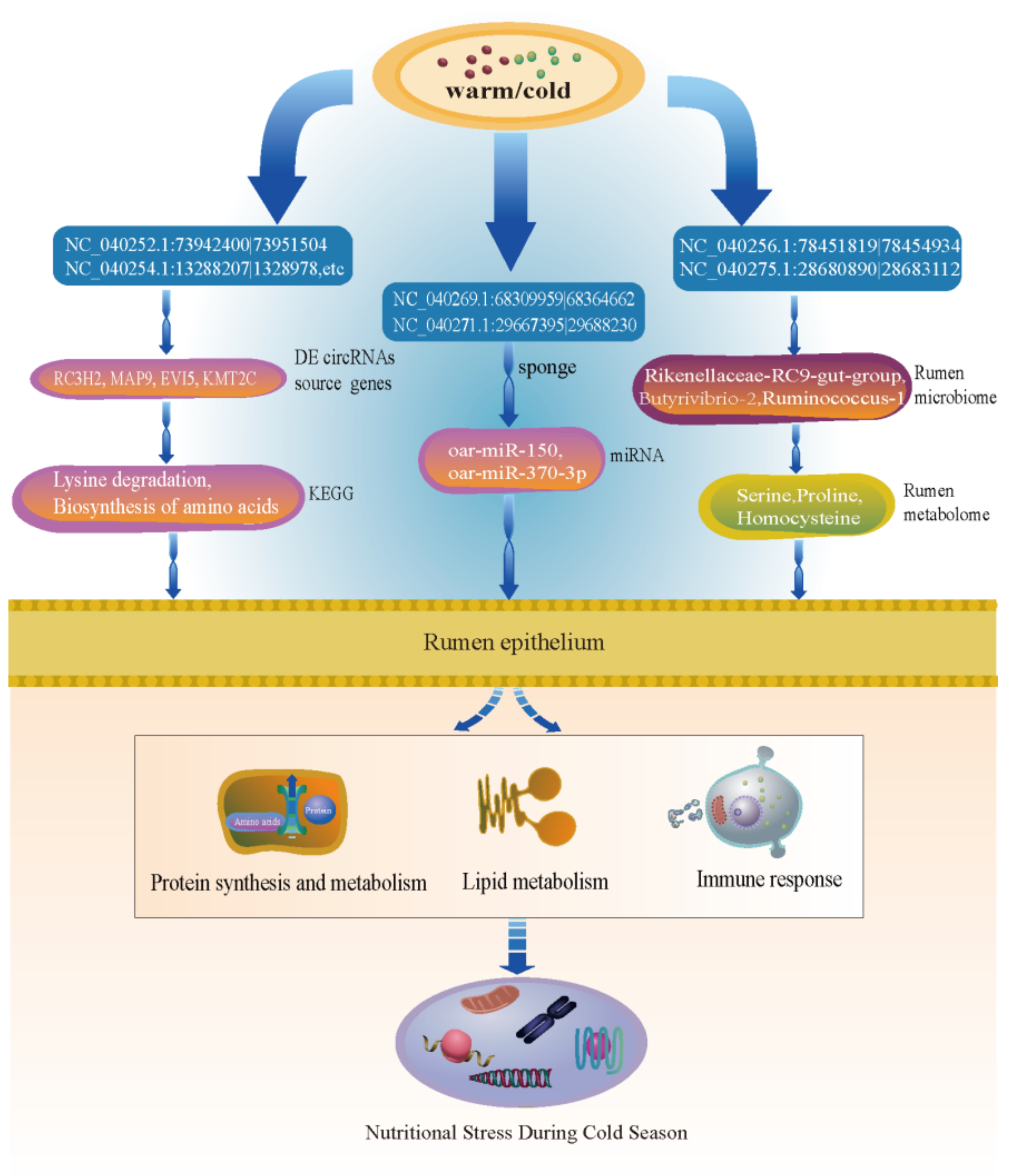 Ijms 23 10488 g008 Ijms 23 10488 g008