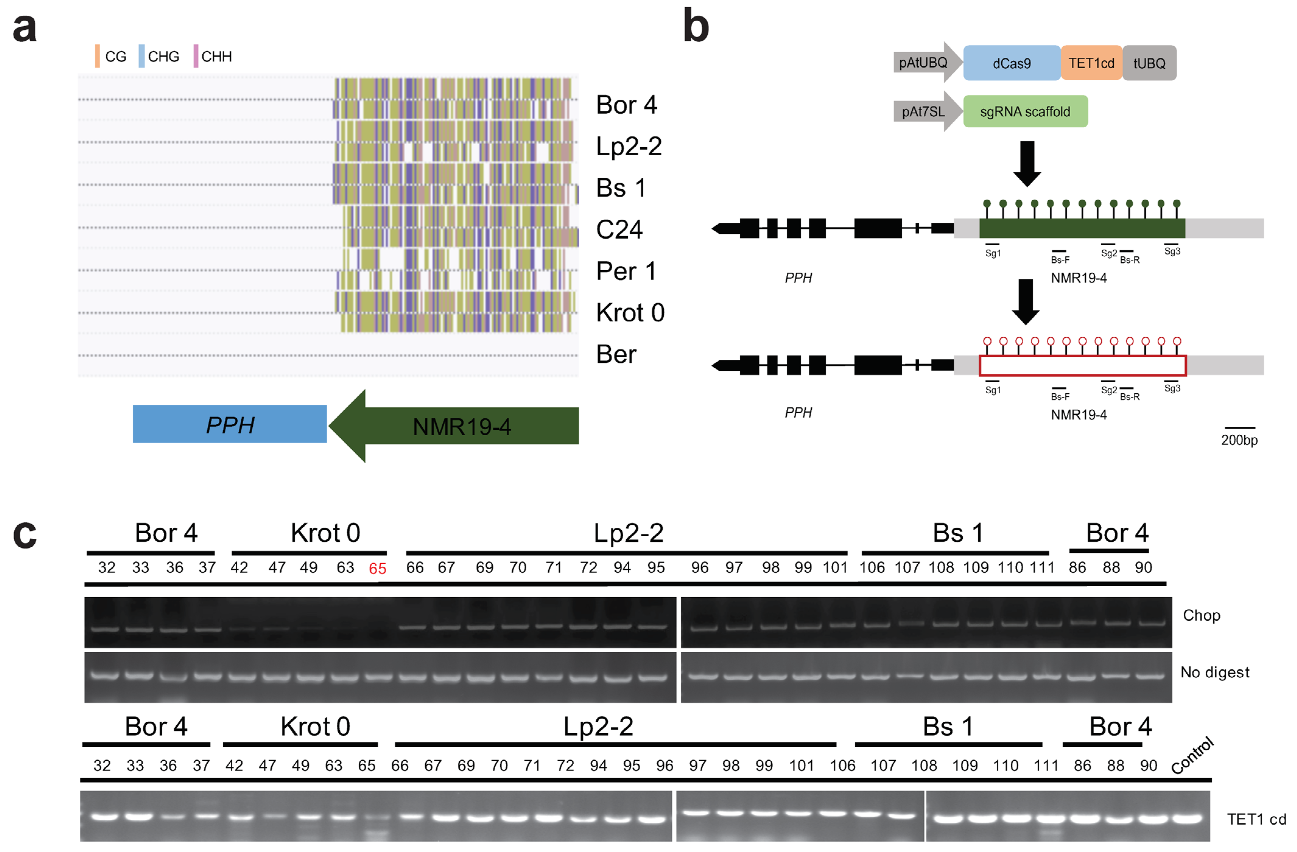 Ijms 23 10492 g001 550