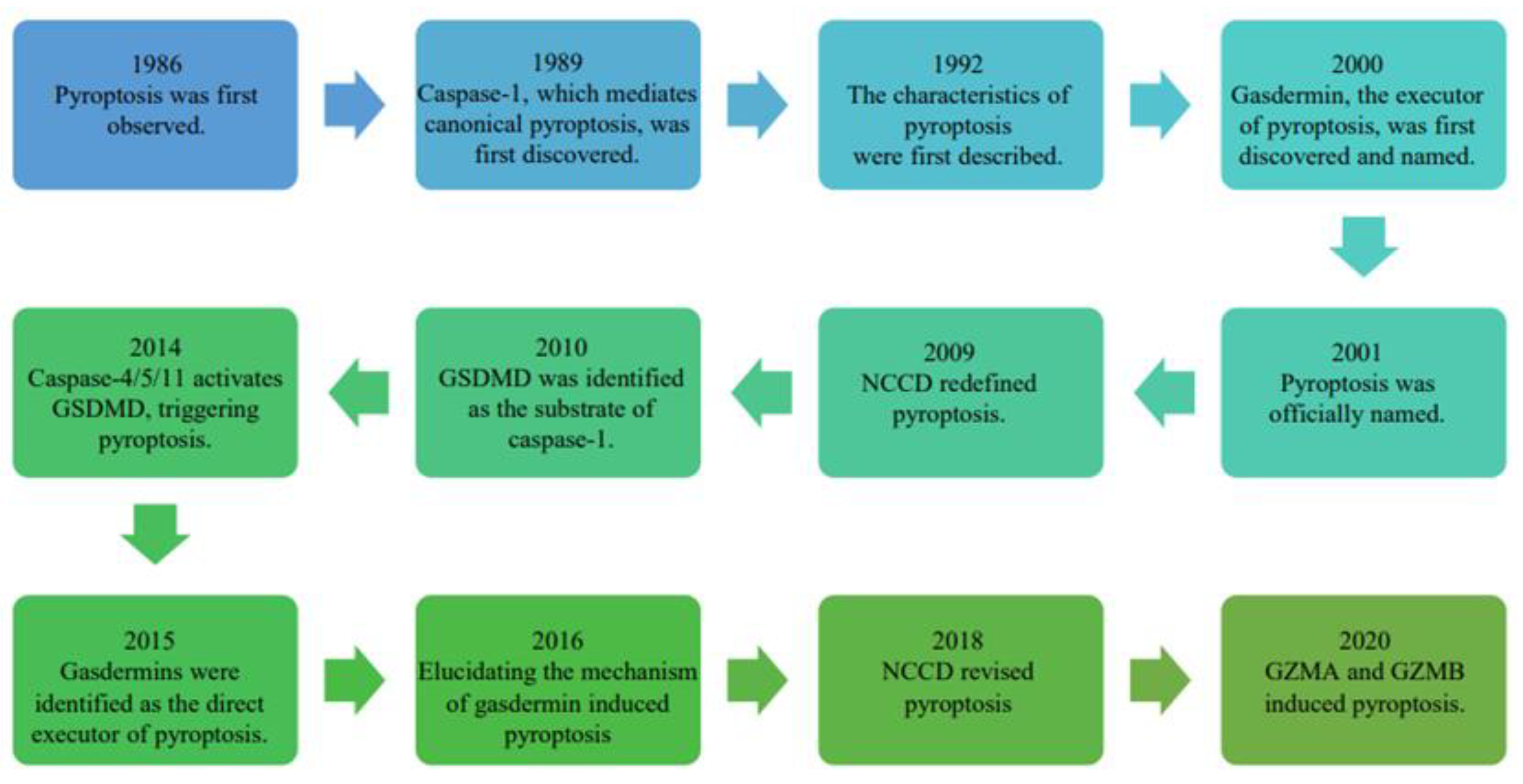 Ijms 23 10494 g001 Ijms 23 10494 g001